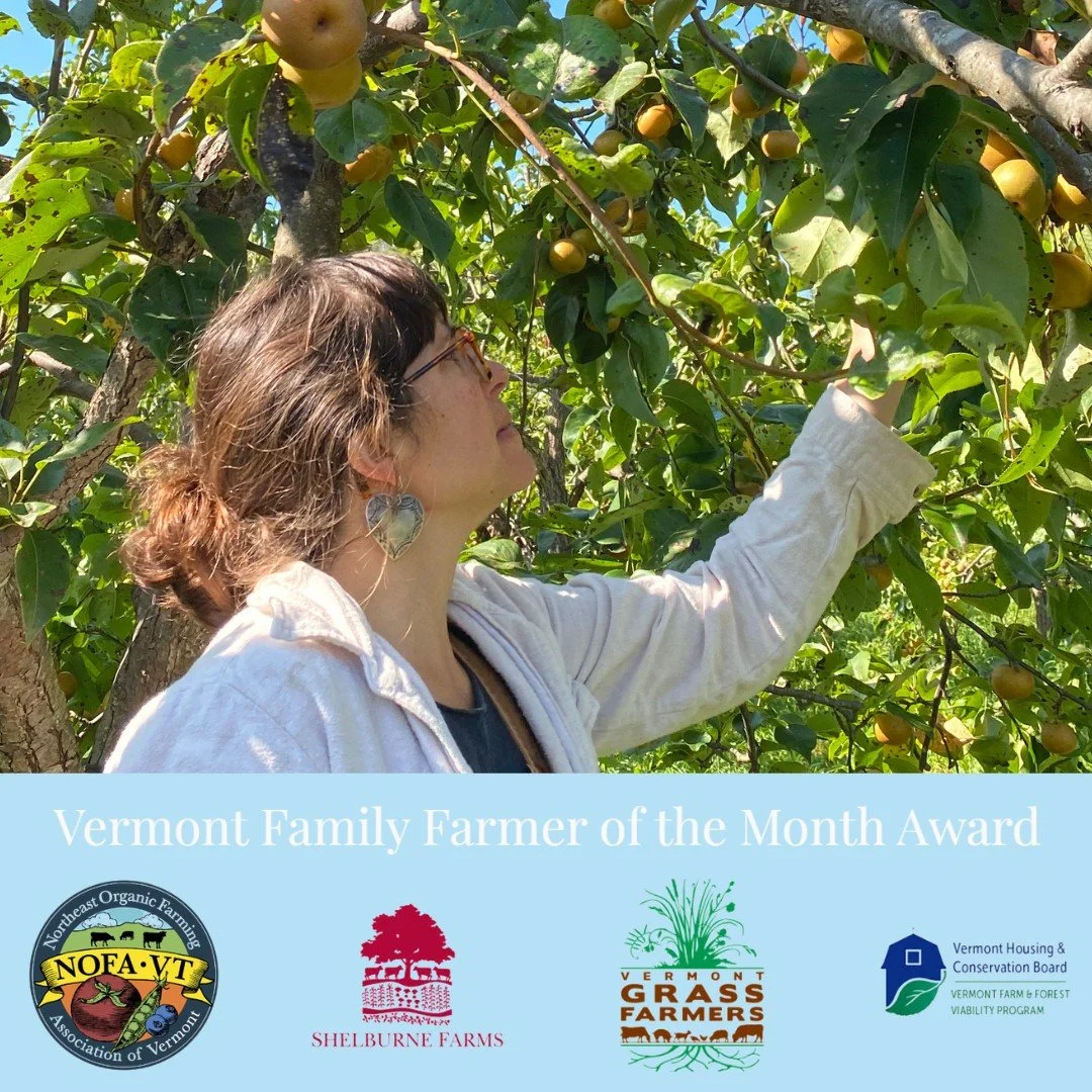 Get up to $12,000 for your farm project through the Vermont Family Farmer Award: applications close May 25th.

Monthly grants support projects that strengthen the long-term viability of Vermont farms, with funding available for July&ndash;October 202