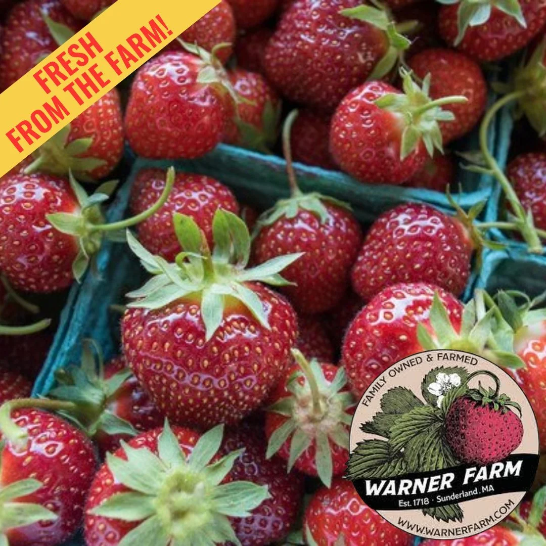 @warnerfarm1718 strawberries are now available in the Food Hub!

Stock up on IPM-grown strawberries from Warner Farm, available in pints and quarts for a limited seasonal window. Bright, fresh, and ready for retail displays, school meal programs, sum