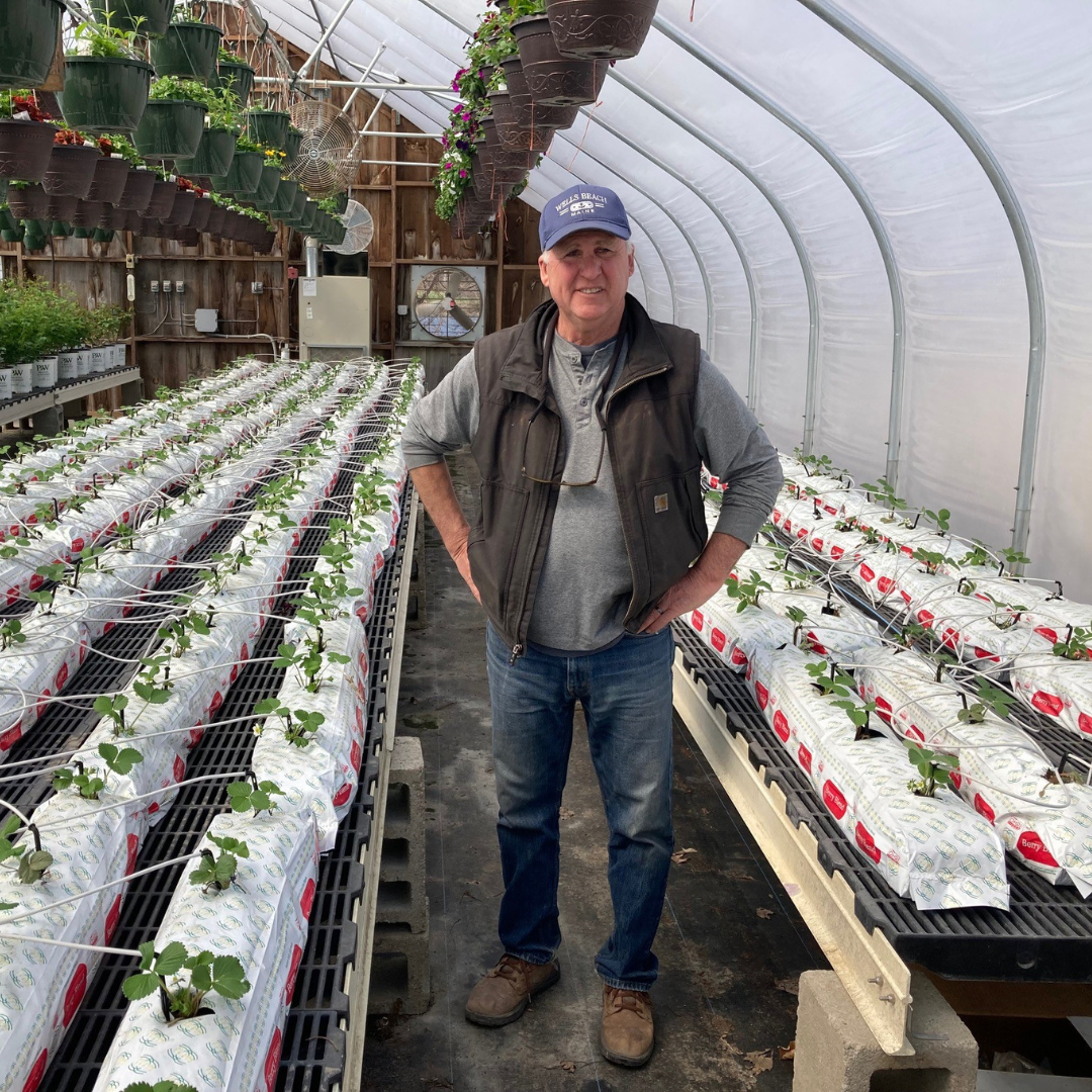 Growing Toward the Future: Allen Brothers Farm — Food Connects
