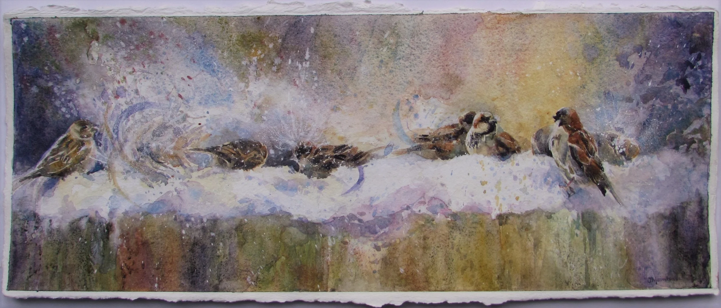 Flora & Fauna — Julie Mainstone