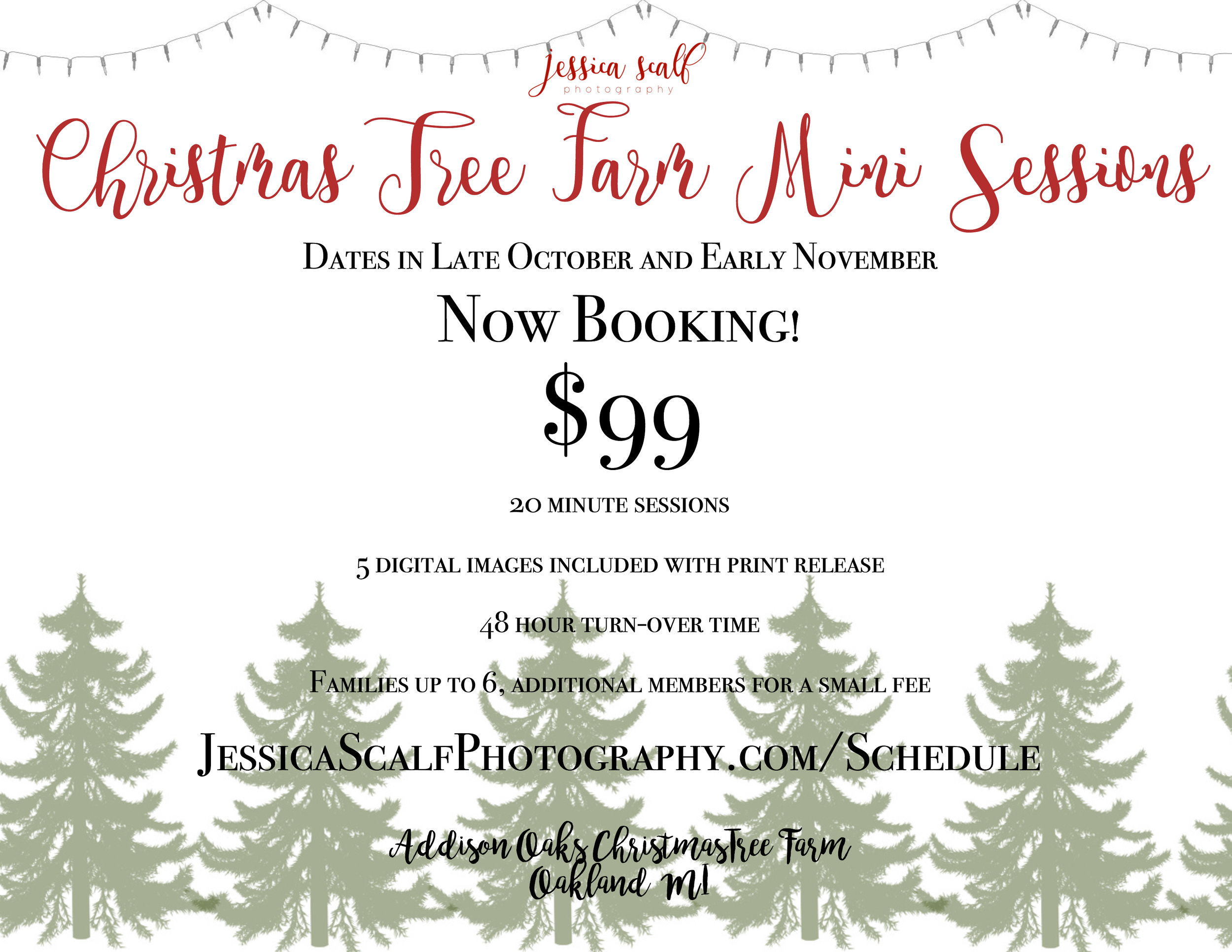 ChristmasTreeFarmMinisFlyerNOWBOOKING.jpg