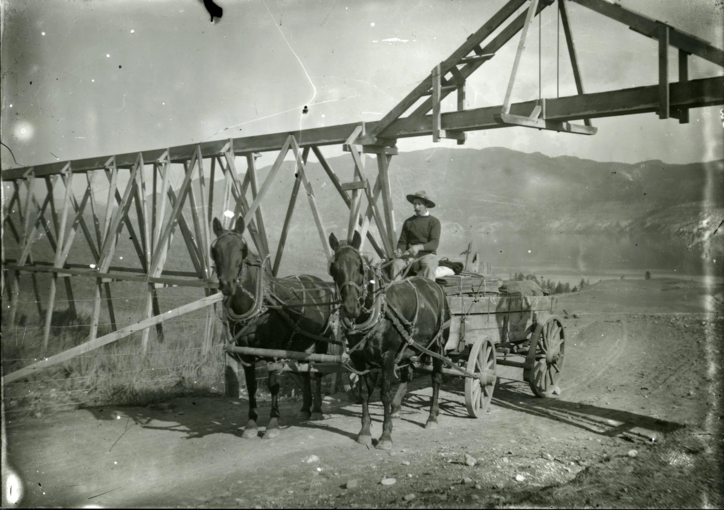Photo of Jim Dunsdon with a team of horses hauling shingles underneath a flume.