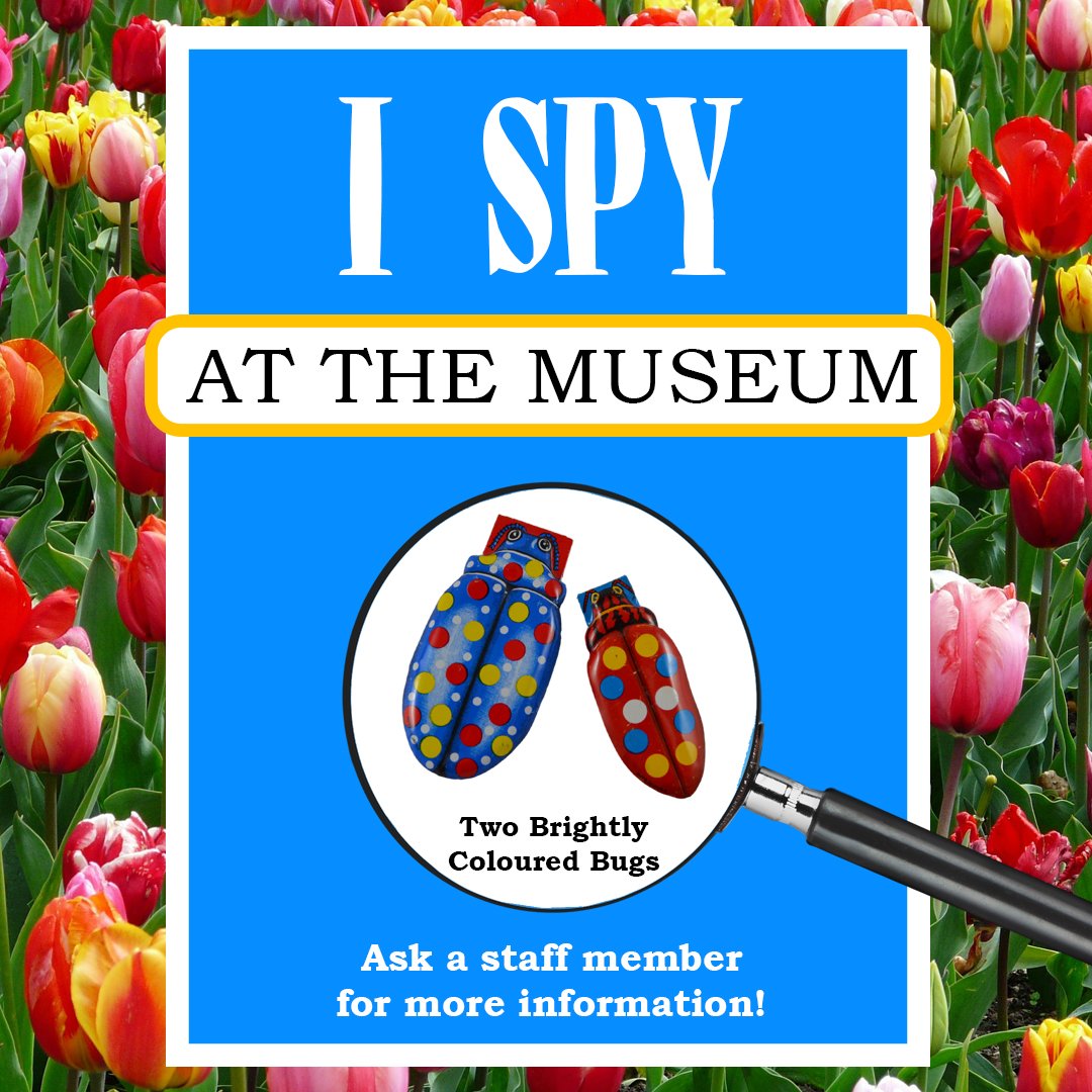 We have a new I-Spy Challenge for kids! Spring has sprung and out come the bugs 🐛 Come visit the Museum and help us find these two brightly coloured bugs hidden somewhere in our exhibits. Spot them and you'll win a prize! 👀🔎