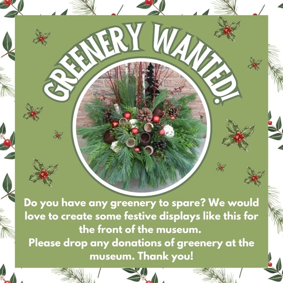 Have you got any spare greenery? Or would you be willing to gather an armful while out walking? Our beautiful summer pots are beginning to fade with the cold weather, and we would love to replace them with a festive winter display. Any greenery, pine