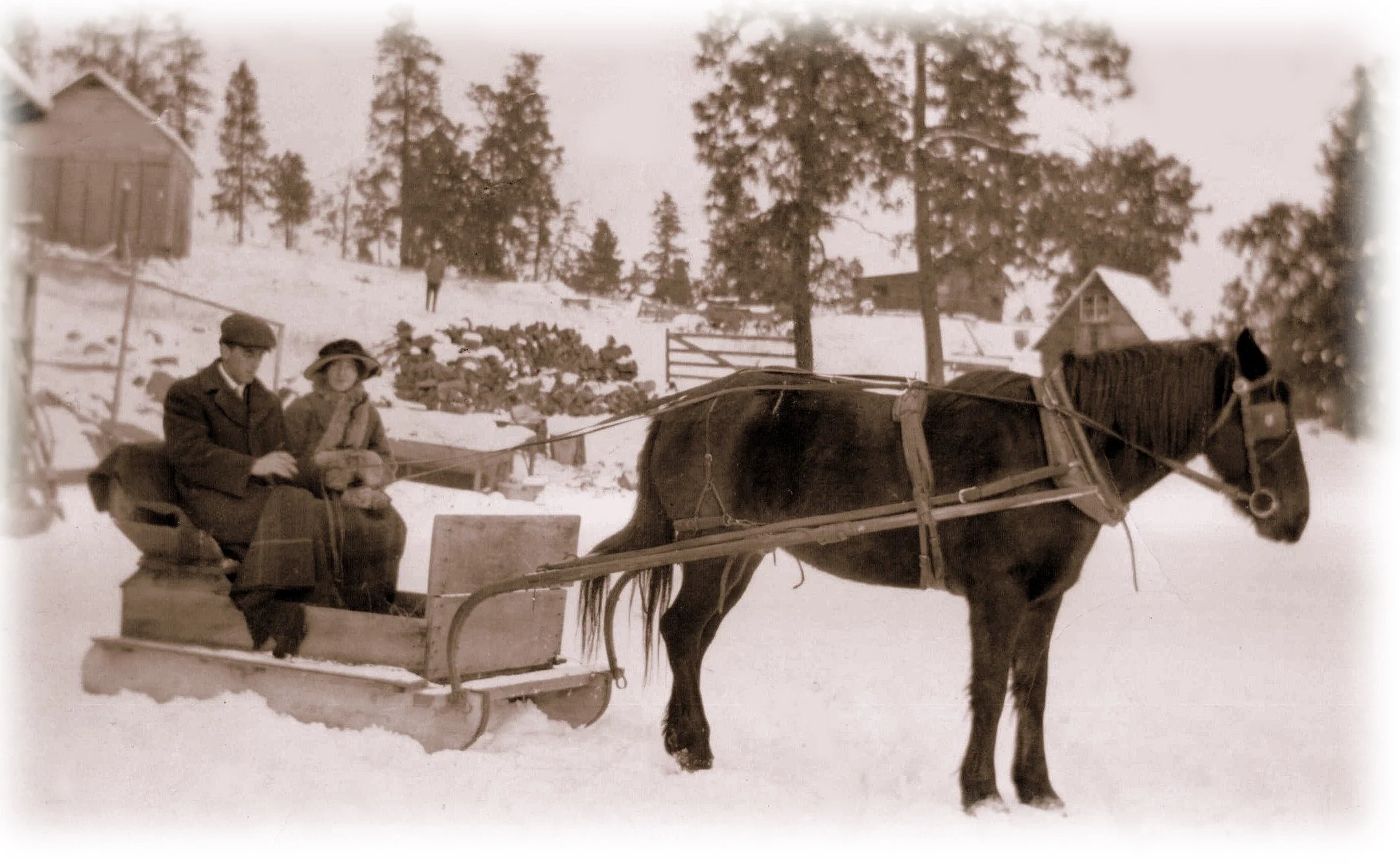 🎼&quot;Dashing through the snow, on a one-horse open sleigh...&quot; 🎼
Last week's snow is melting fast, so we're manifesting a white Christmas with this snowy scene for today's Throwback Thursday!

Pictured here on their one-horse open sleigh are 