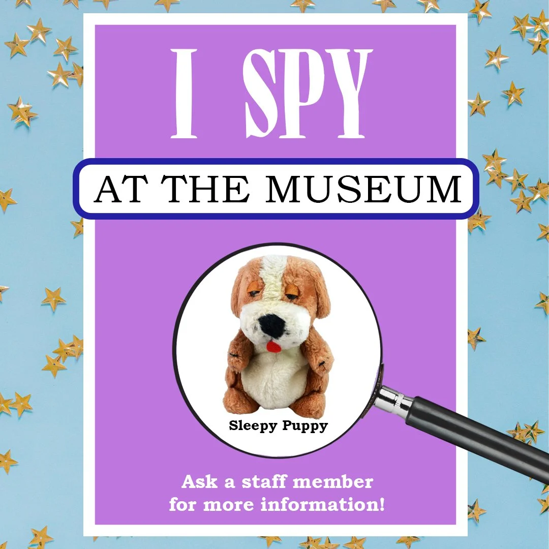 We have a new I-Spy Challenge for kids at the Museum🐕

Our sleepy puppy has decided to take a nap somewhere in the Museum's exhibits. Can you help us find him? Let us know where he is and you will win a prize! 🍬

#ISpy #FunForKids #SummerlandMuseum