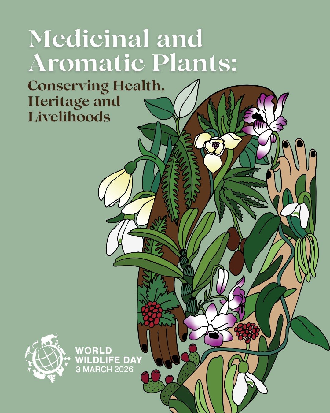Happy World Wildlife Day! 🌿🌱🌳
Today, join us in celebrating the many beautiful and varied forms of wild fauna and flora here in Summerland and across the globe. 

The 2026 theme of World Wildlife Day is &ldquo;Medicinal and Aromatic Plants: Conser