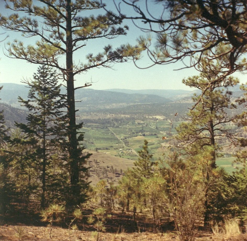 Happy International Day of Forests. How lucky we are to live in such a beautiful place, surrounded by spectacular forests!

Photo of Prairie Valley surrounded by mountains and far-reaching forests, taken in 1969. SMAS#1976-055-011

#internationaldayo