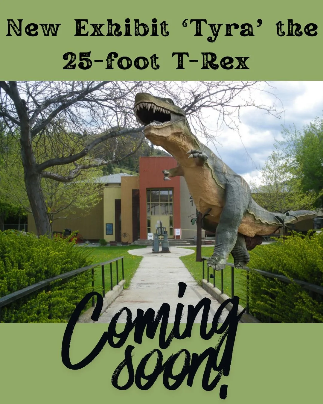 🎉Exciting news.... Dinosaurs are finally coming to Summerland! 🎉
We're very excited to announce that the Summerland Museum and Archives are soon to be the new home of Drumheller's largest attraction, 'Tyra' the T-Rex!

Many of you will be aware tha