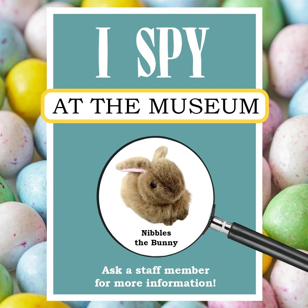 The bunnies are on the loose! For our I-Spy Challenge this month, we are asking our little visitors to help us find Nibbles the bunny. Can you spot him hiding in our exhibits? Let our staff know where you spotted him and win a prize! 🐇🍬

#ISpy #Fun