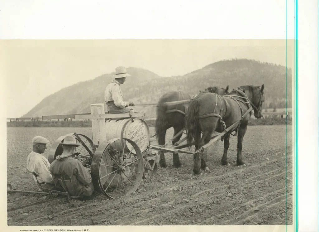 Spring has well and truly arrived in the Okanagan, and with the local plant nurseries beginning to open for the season, many of us are itching to get planting our yards and gardens! Well, this is one novel way to get those seeds sown!

Today's Throwb