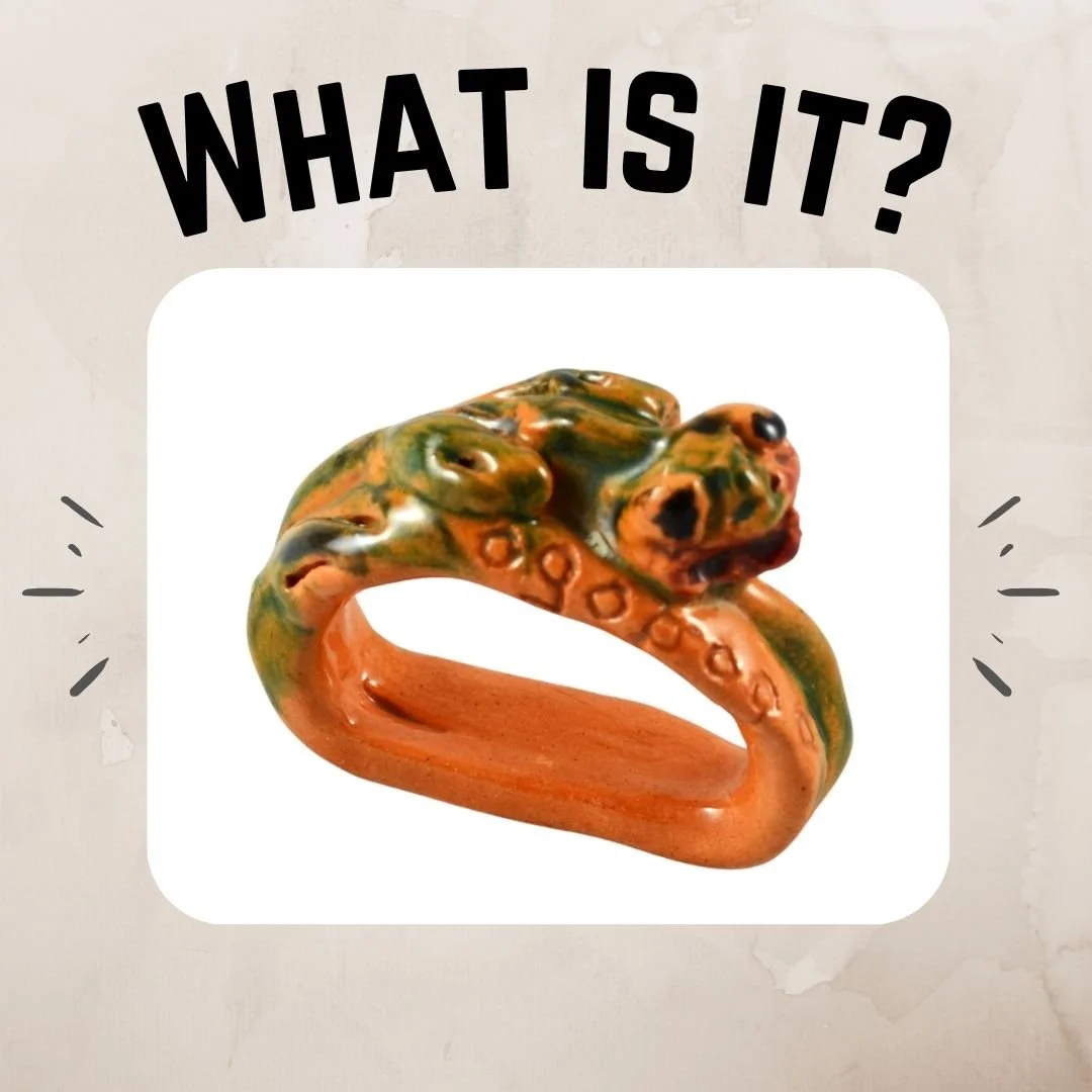 Yes, it's time for What-is-it-Wednesday! It's also World Art Day today, so in honour of our local art, this week's mystery artifact is an artist's interpretation of Ogopogo or nx̌aʔx̌ʔitkʷ. But what is it intended to be used for? If you think you kno
