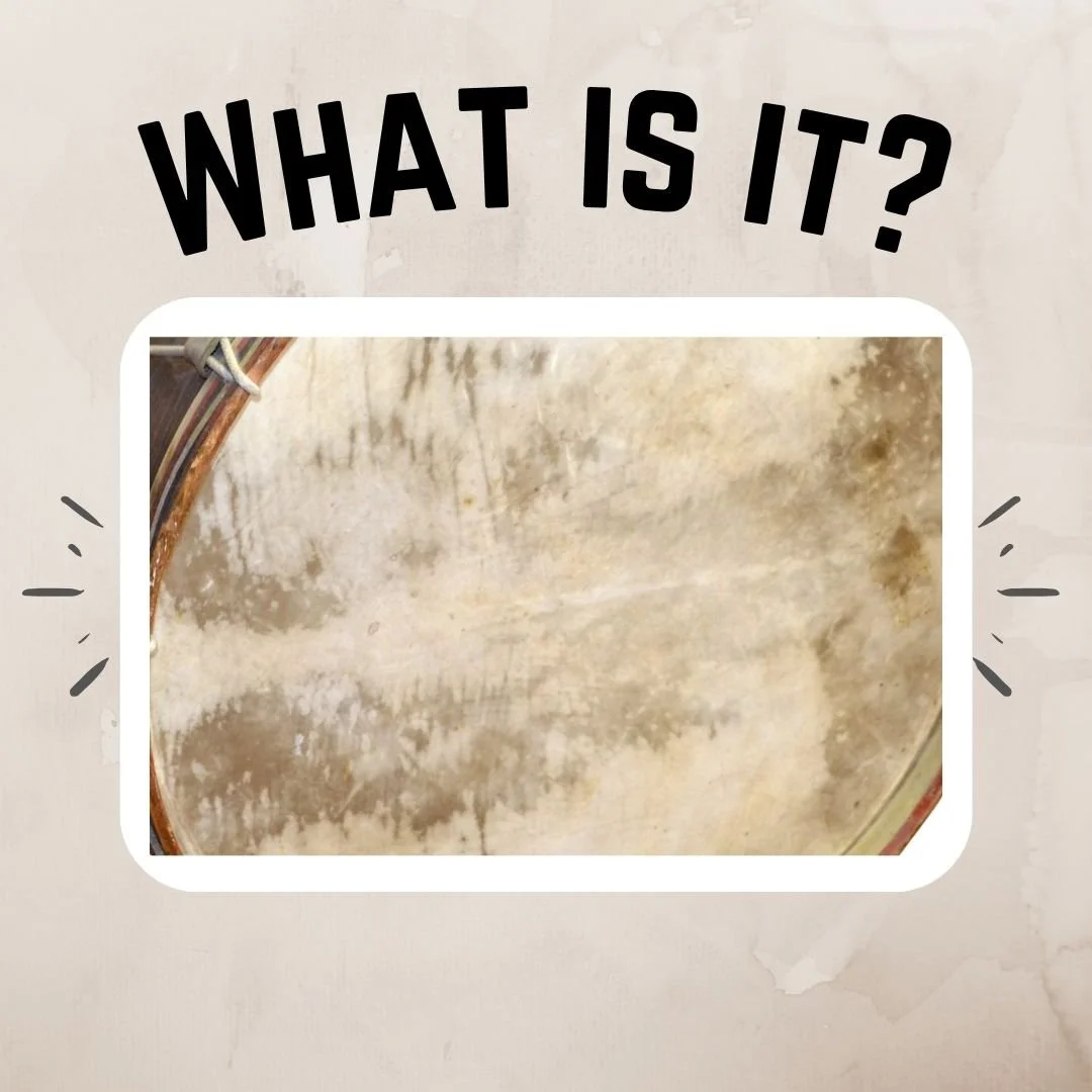 Thinking hats on... it's time for What-is-it-Wednesday! You're all getting too good at this game, so this week we're making it trickier by only revealing a zoomed-in glimpse of the mystery artifact. Do you recognise it? If you think you know what it 