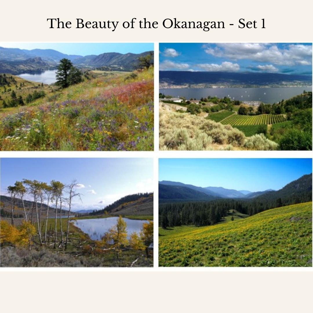 We're thrilled to introduce these very special greeting cards, now on sale in our gift shop!

'The Beauty of the Okanagan' gift cards feature stunning photographs that capture 8 different exquisite local landscapes. The photographs were taken by one 