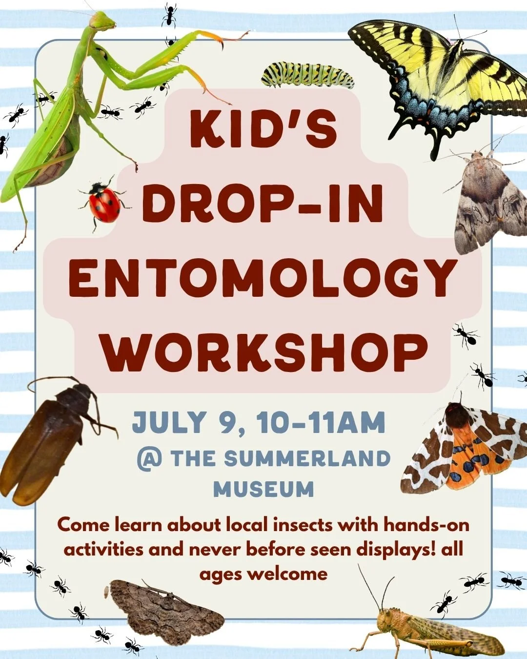 Kids' Drop-in Entomology Workshop