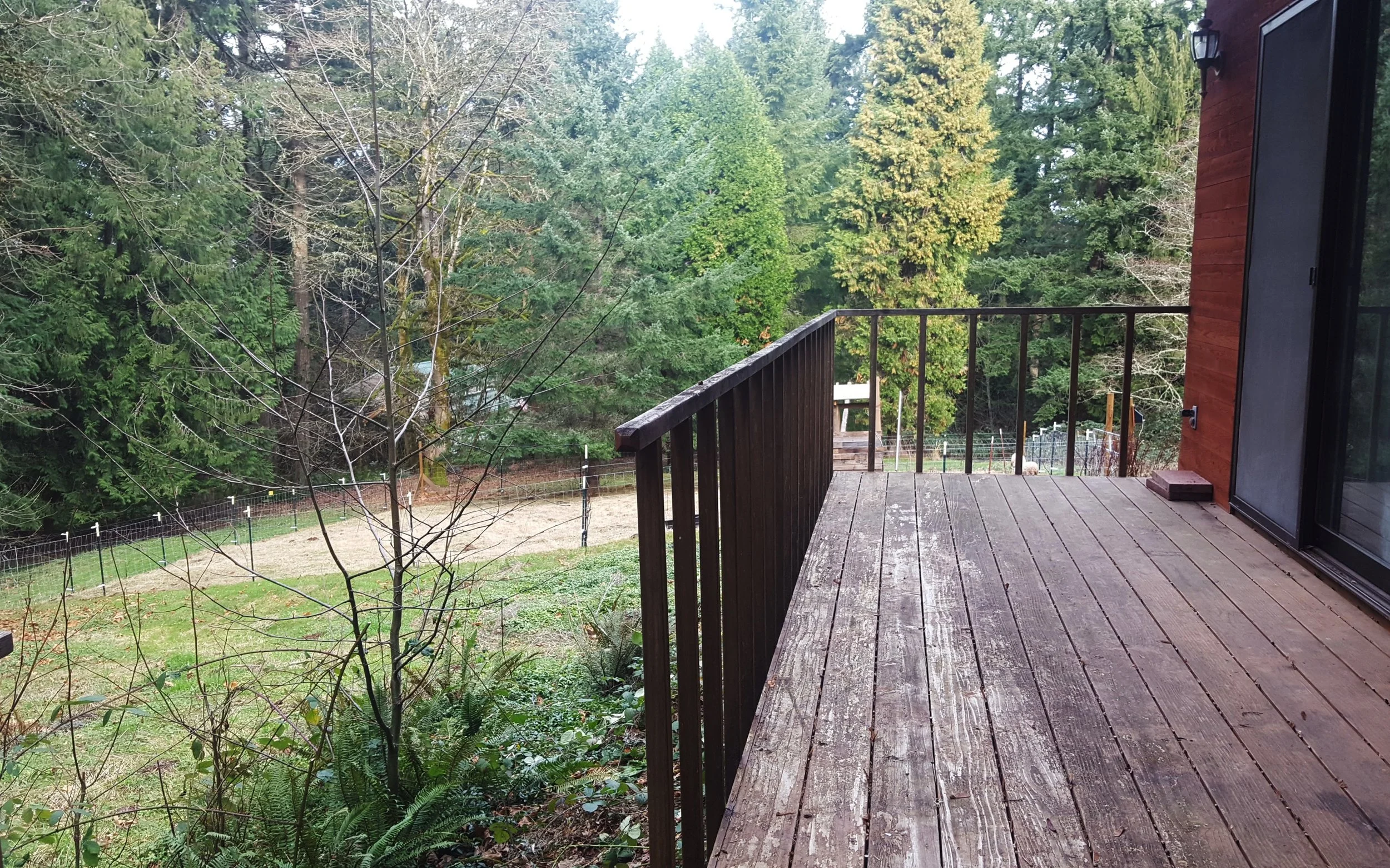 Cedar Dell Forest Farm Classroom Deck.jpg
