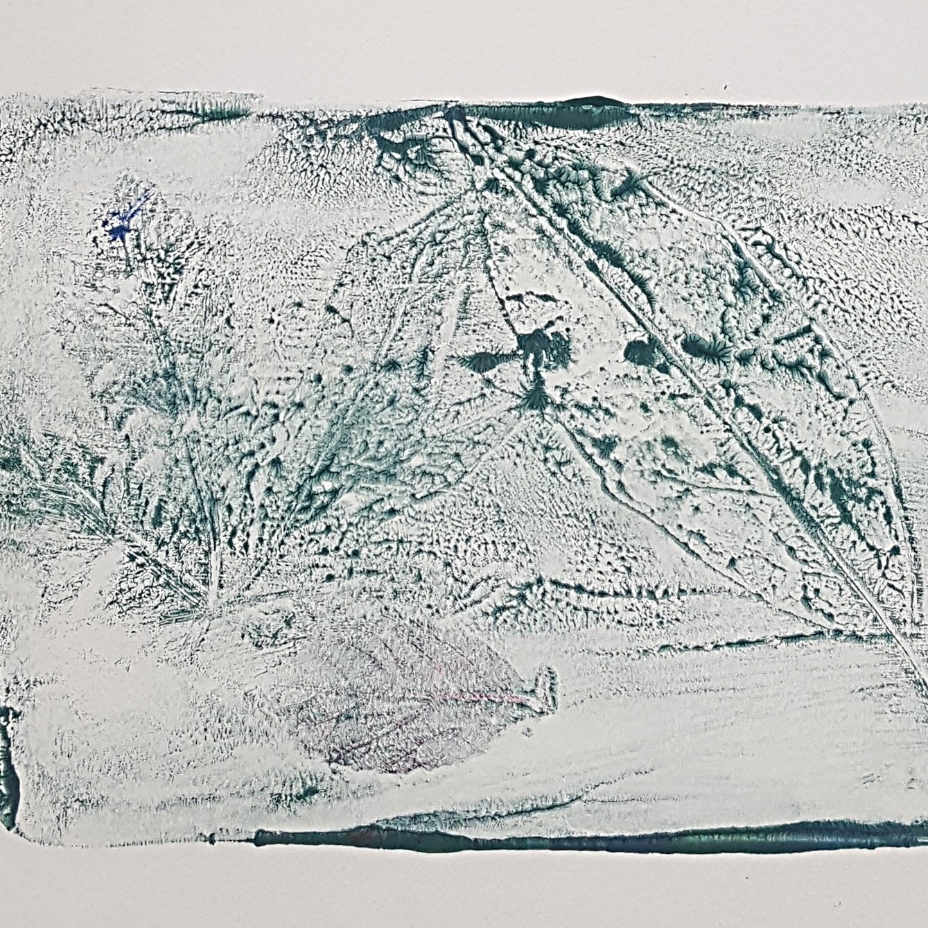 20180123_133456.jpg