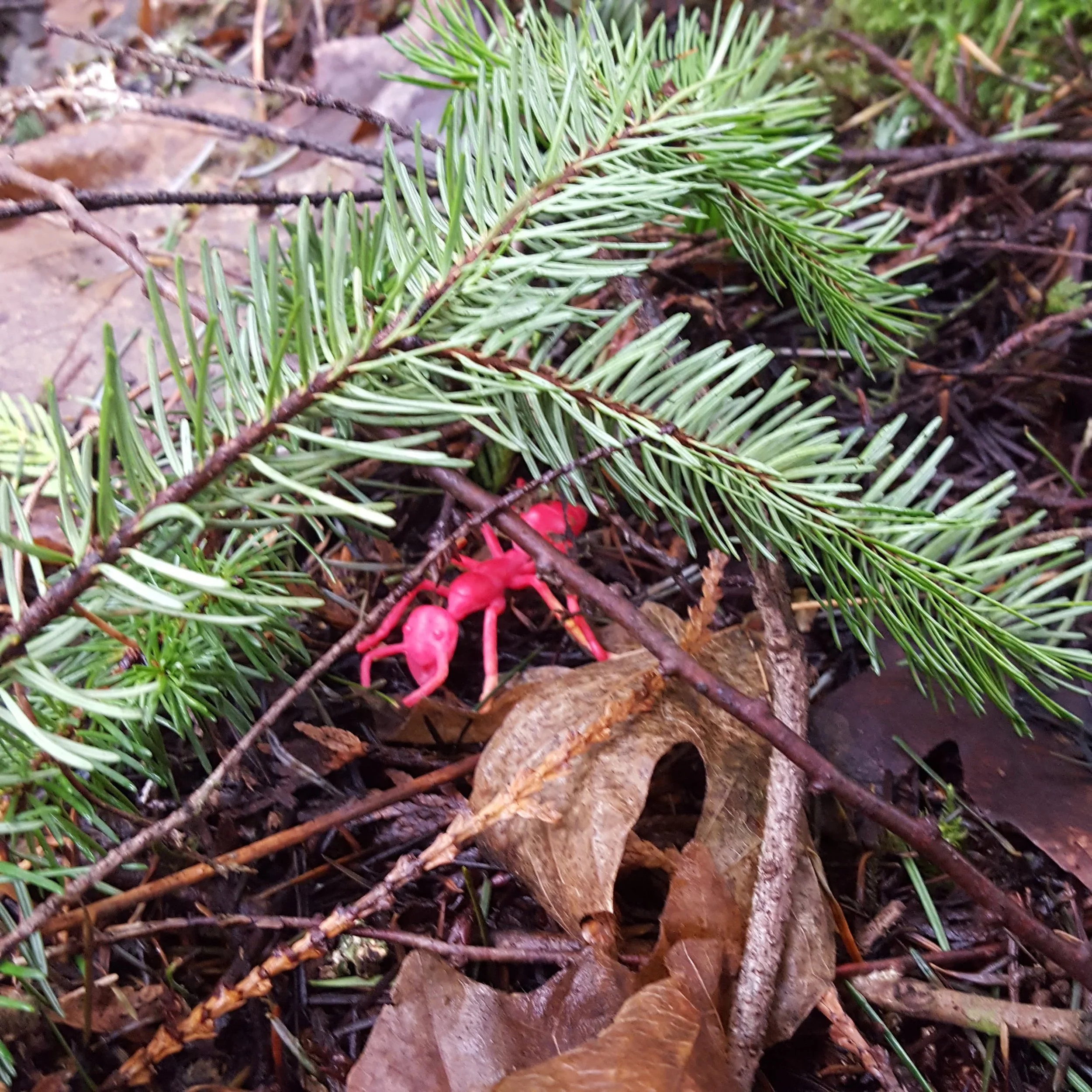 20180202_105112.jpg