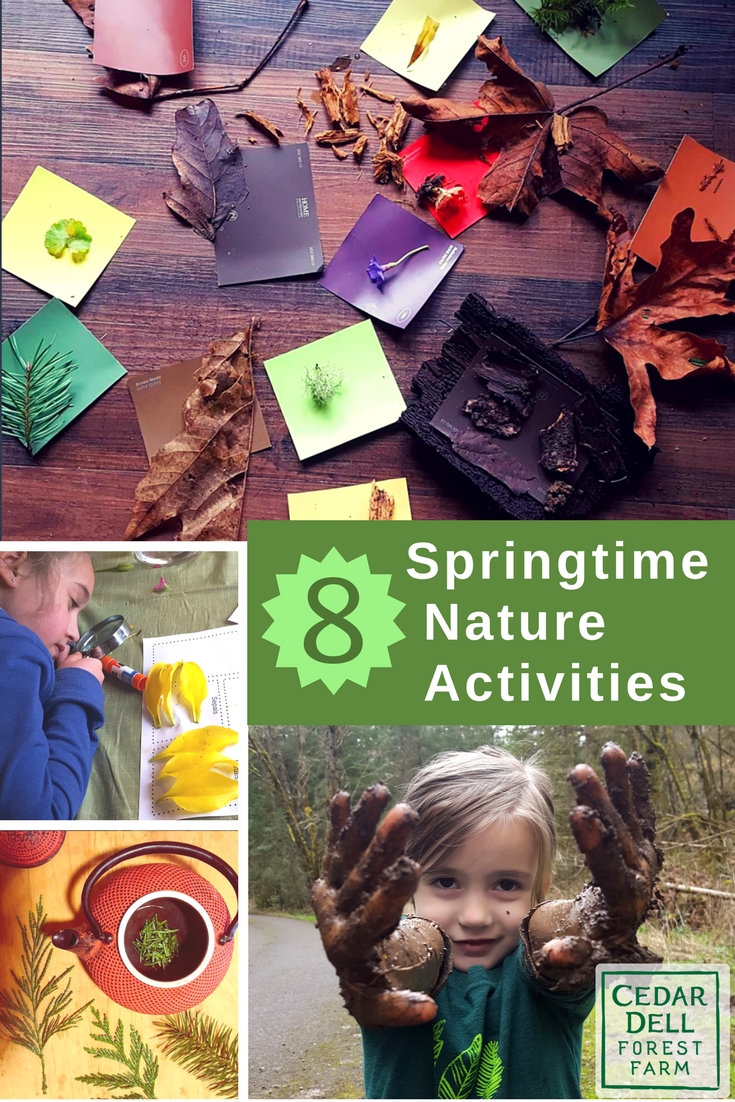 spring nature activities for kids.jpg