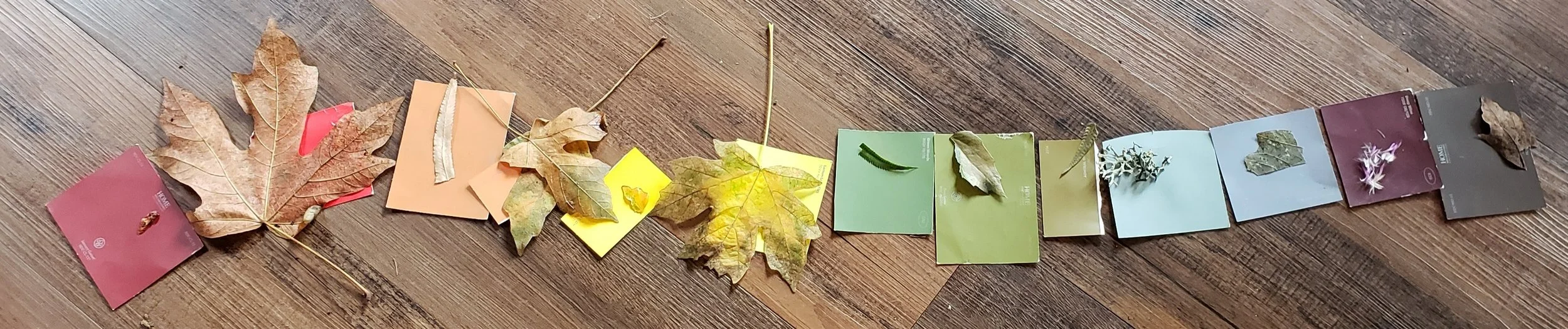 20180913_131440.jpg
