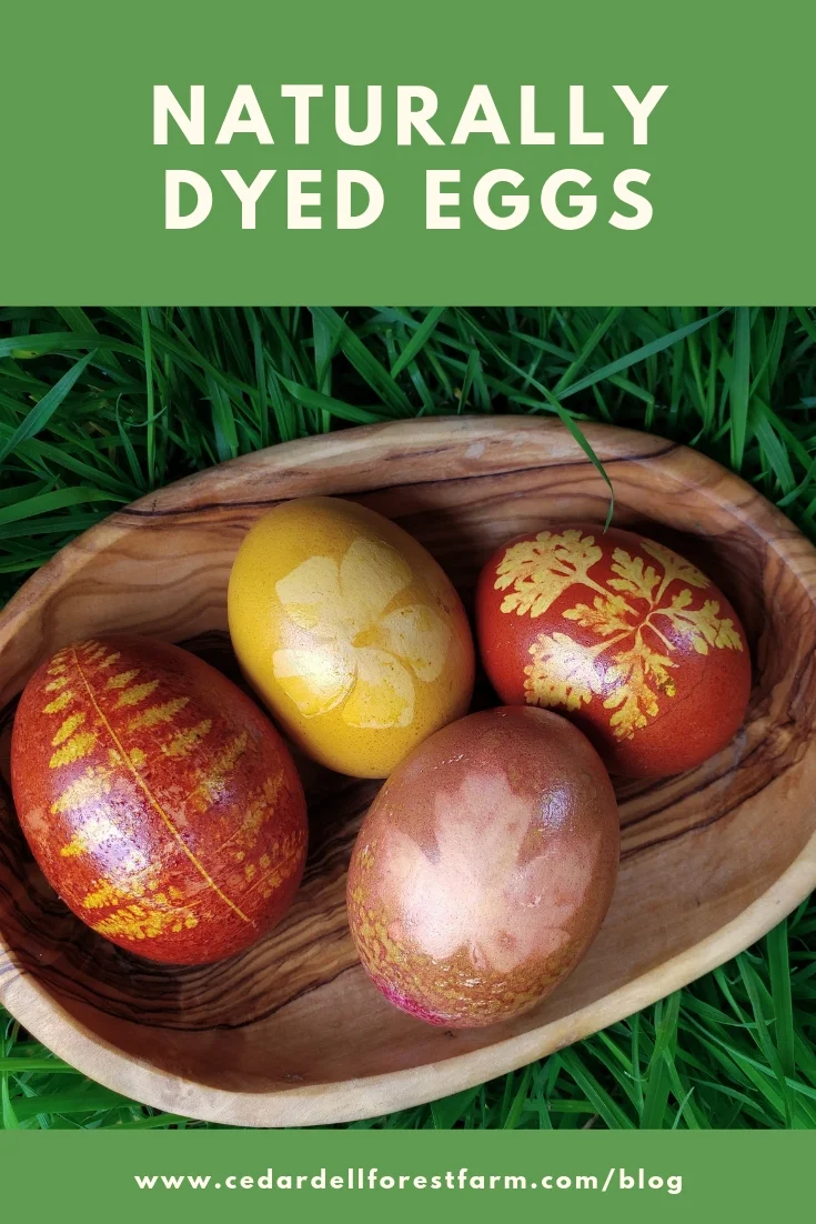 Naturally Dyed Easter Eggs