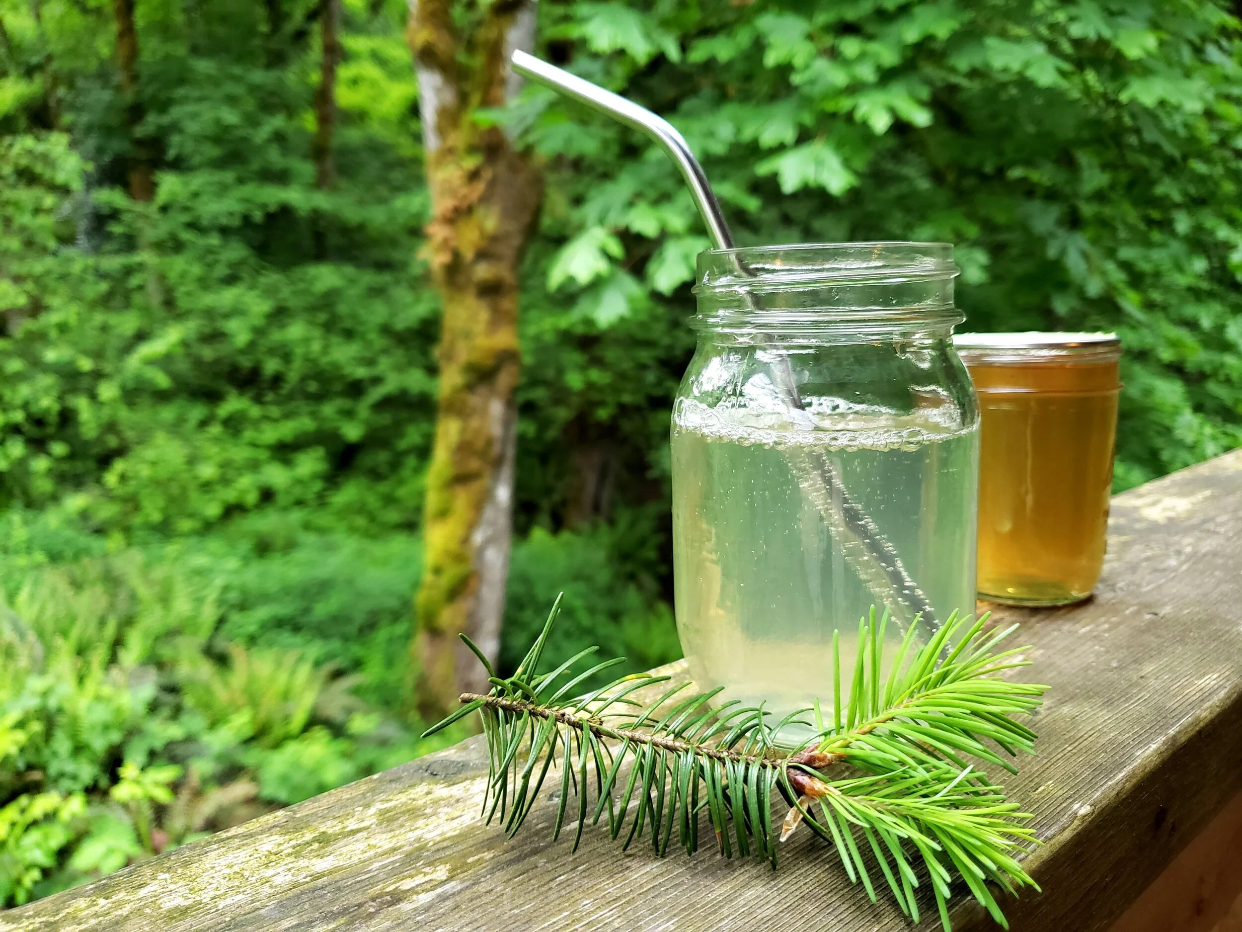 Fir Needle Simple Syrup — Cedar Dell Forest Farm