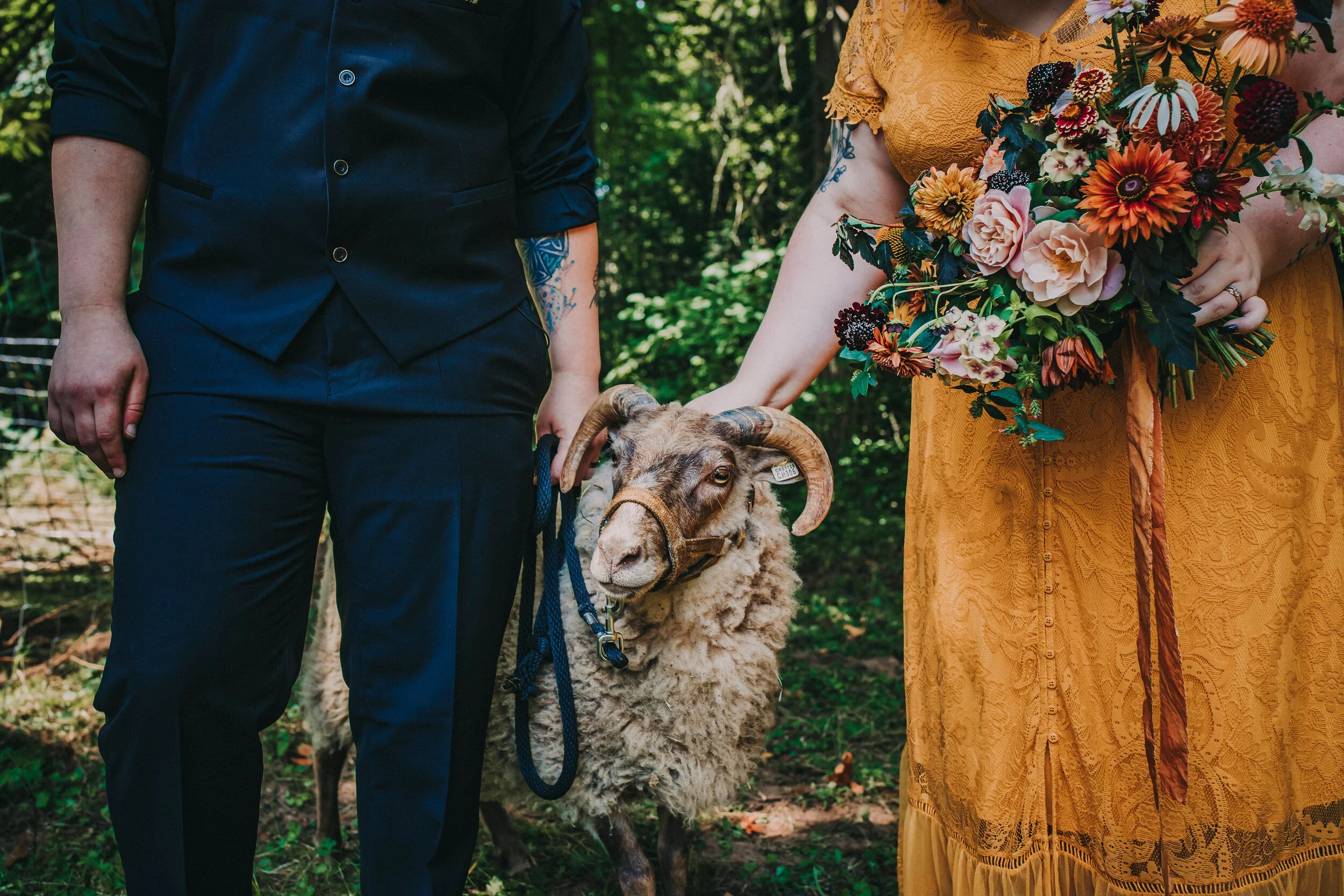 The Forest Path - August 2020