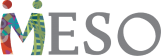 MESO-logo_web-e1504813051458.png
