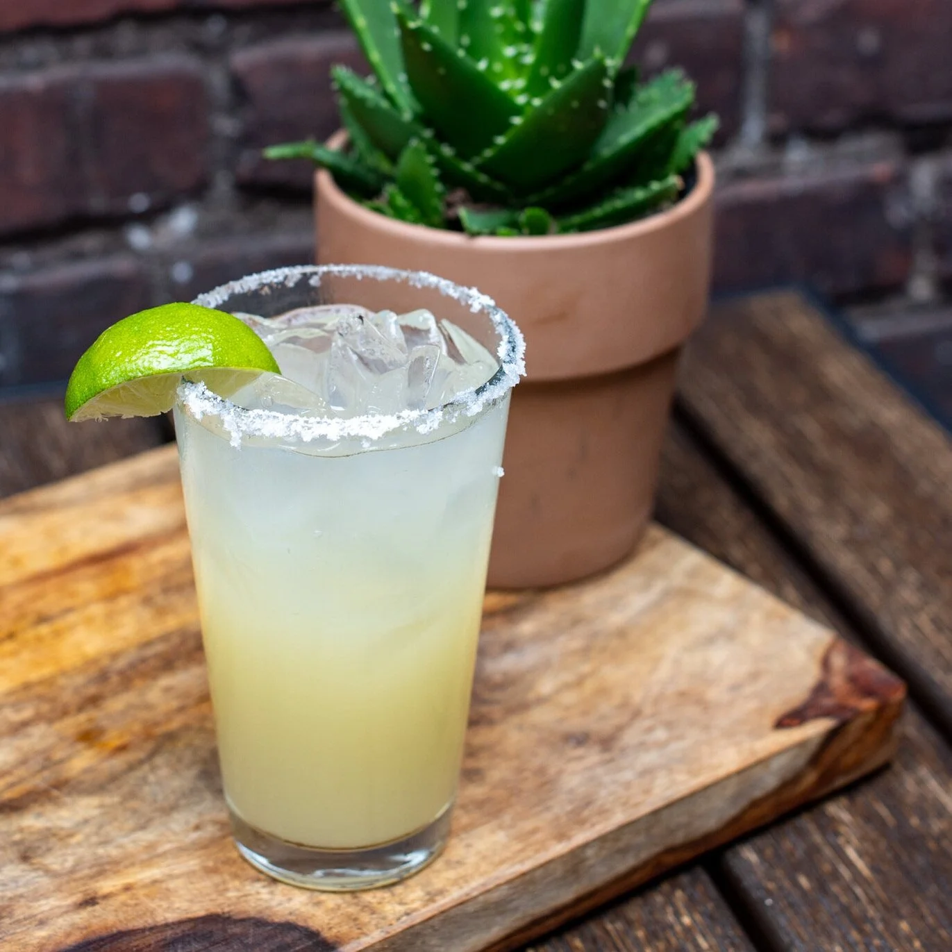 El Centro Margarita
