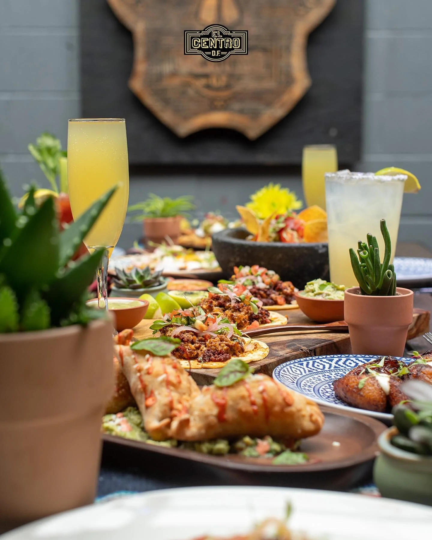 Start your Sunday morning off with a delicious brunch! Wake up, indulge in a meal that will fill you up, and get your day off to the right start. #brunchtime
#elcentrodc #tastedc #districteats #dceats #dcfood #georgetown #dcfoodie #tacolover #tacos 