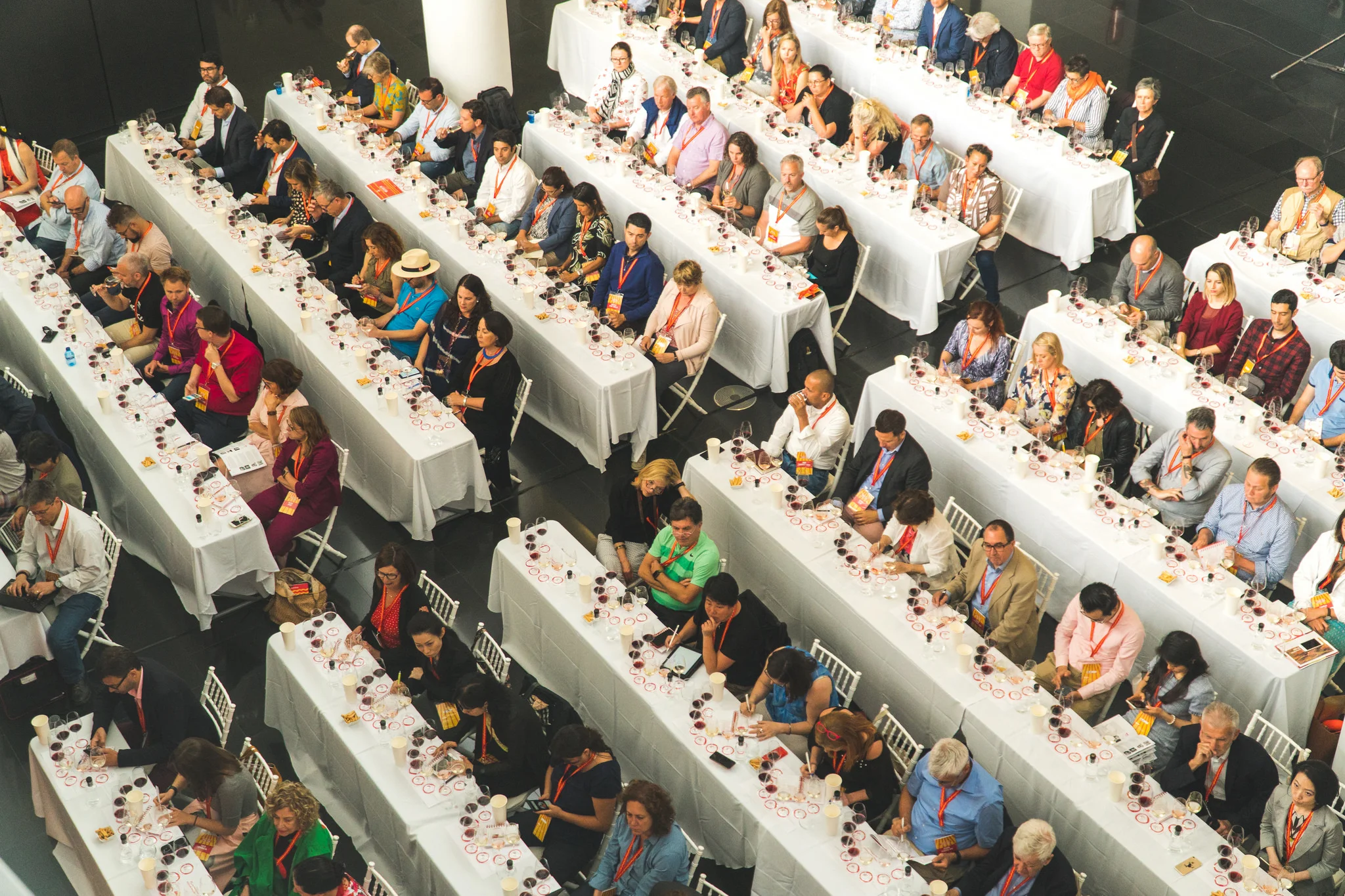 tasting audience.jpg
