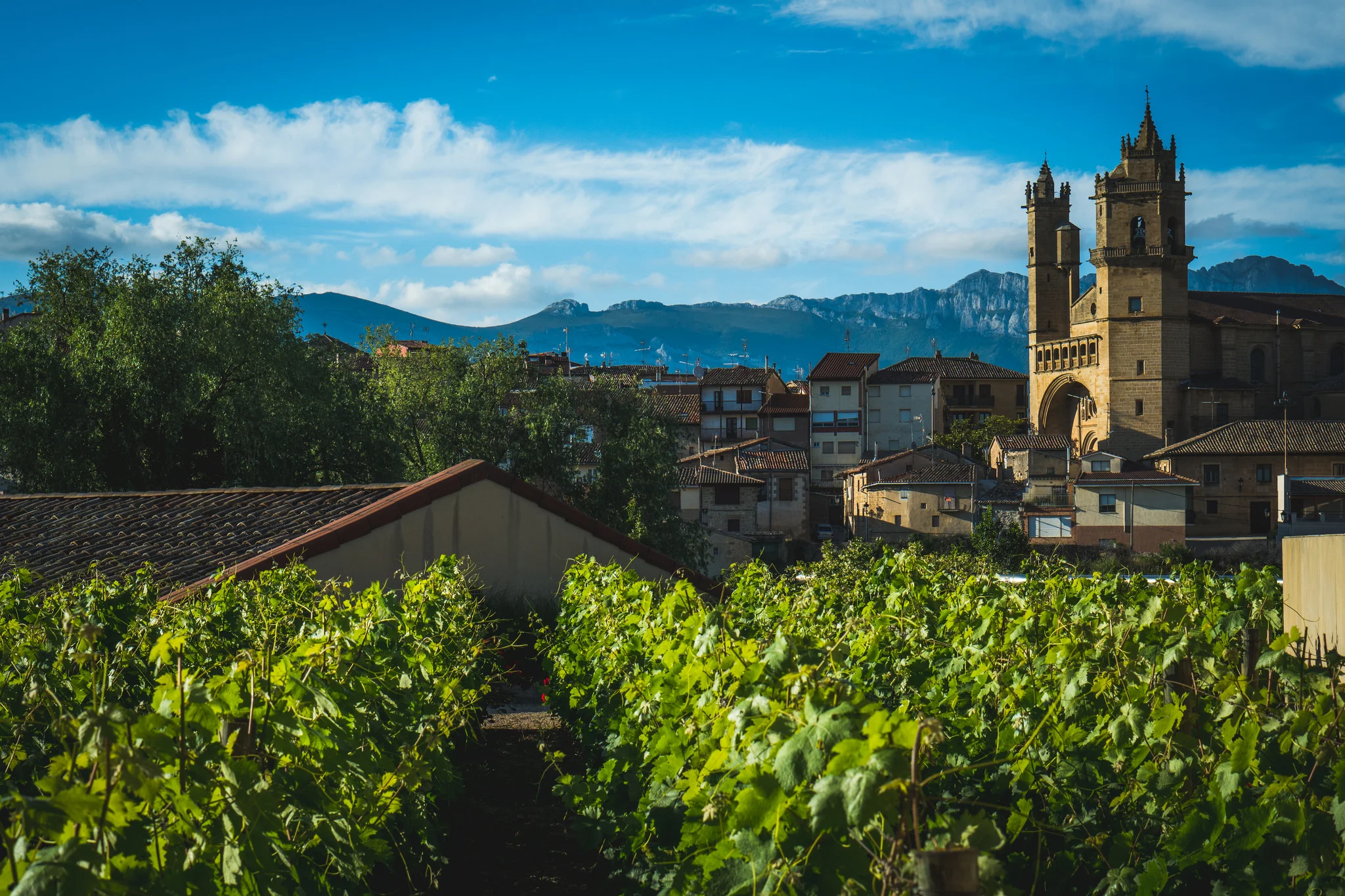 Rioja landscape.jpg