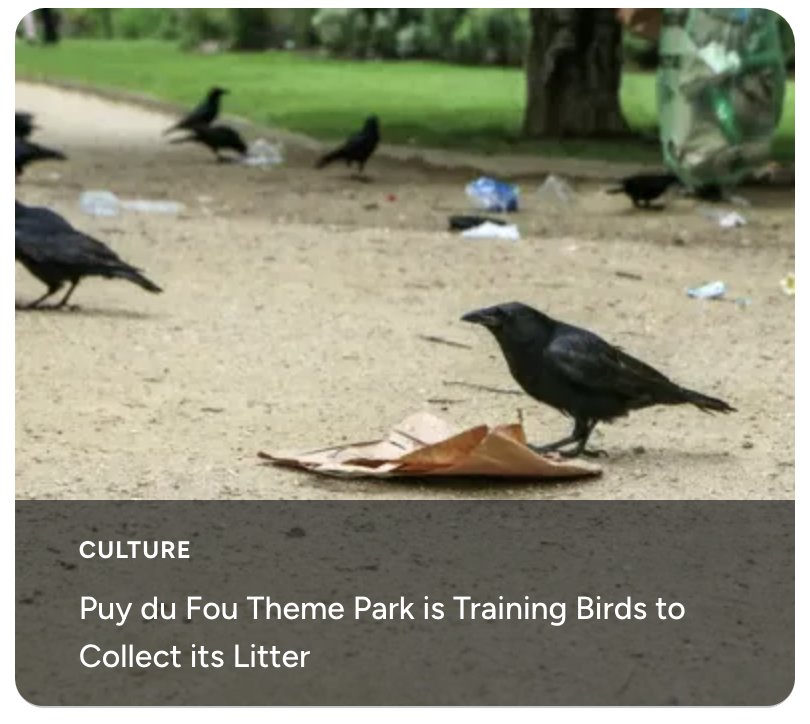 Puy du Fou Theme Park is Training Birds to Collect its Litter