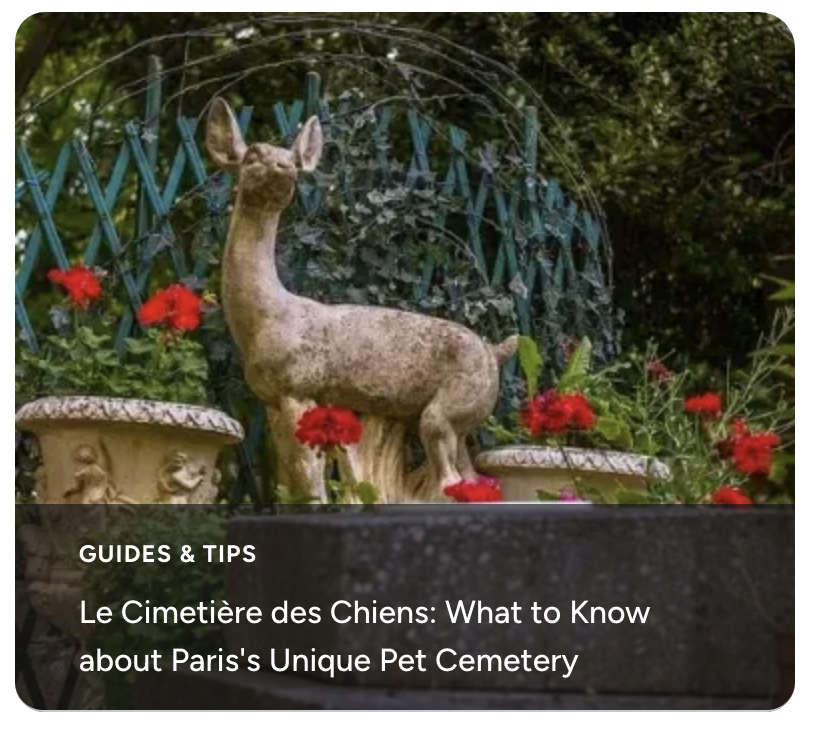 Le Cimetière des Chiens: What to Know about Paris's Unique Pet Cemetery