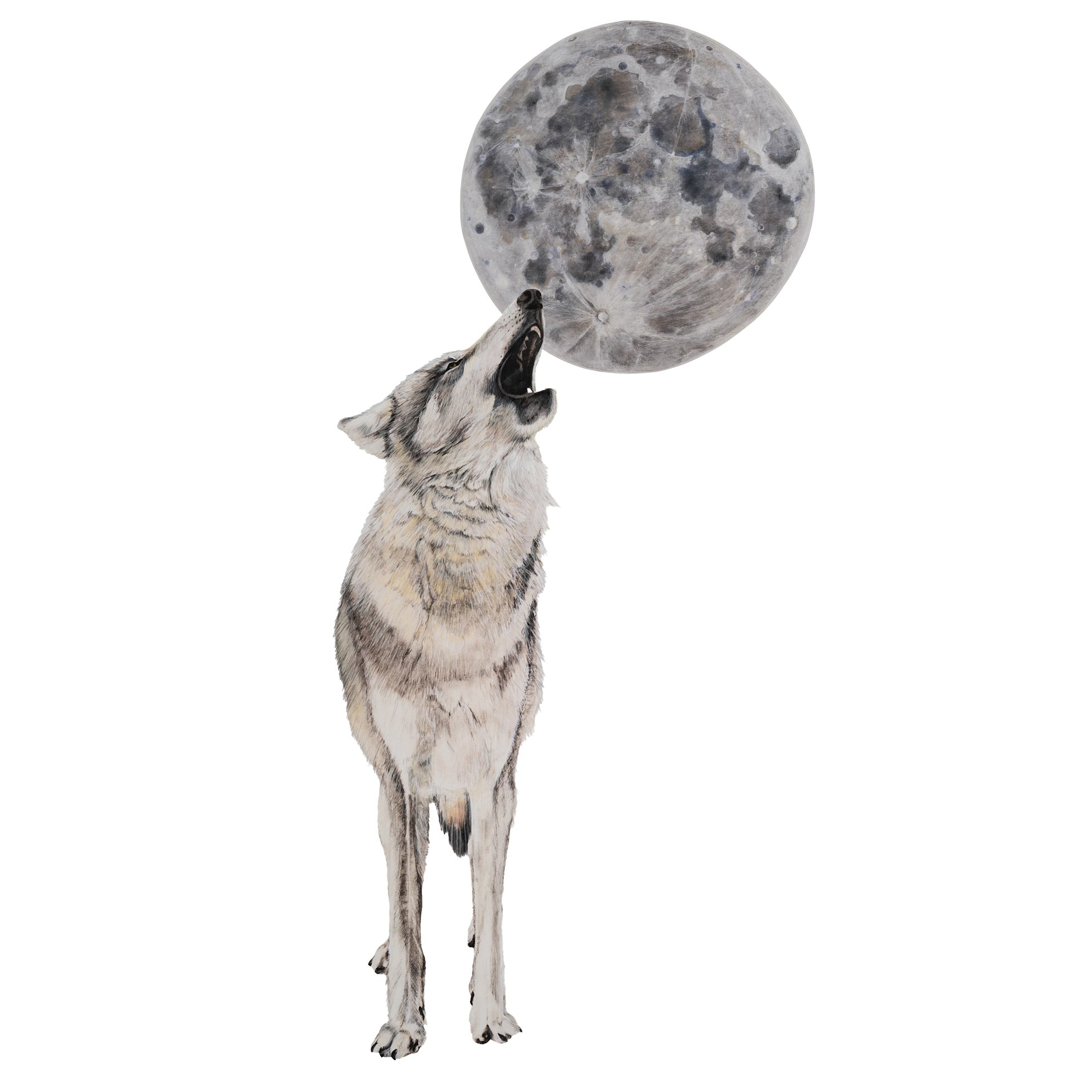 Wolf & Moon Decals_website.jpg
