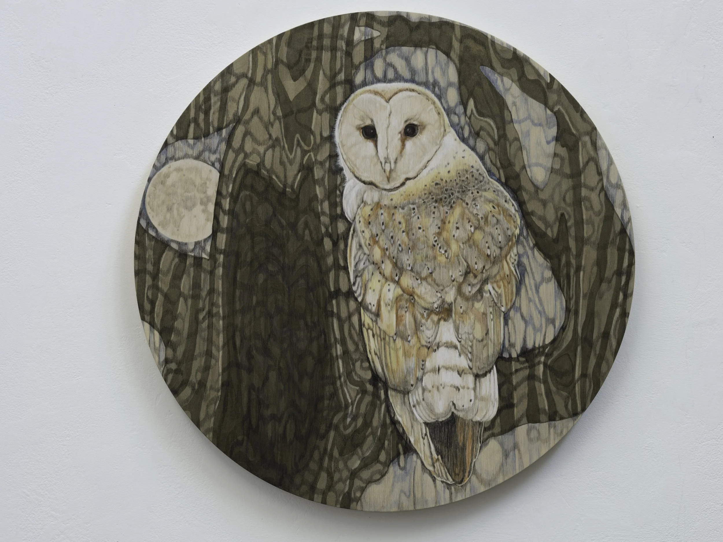 Barn Owl, Mixed Media Drawing on Panel, 20in diameter