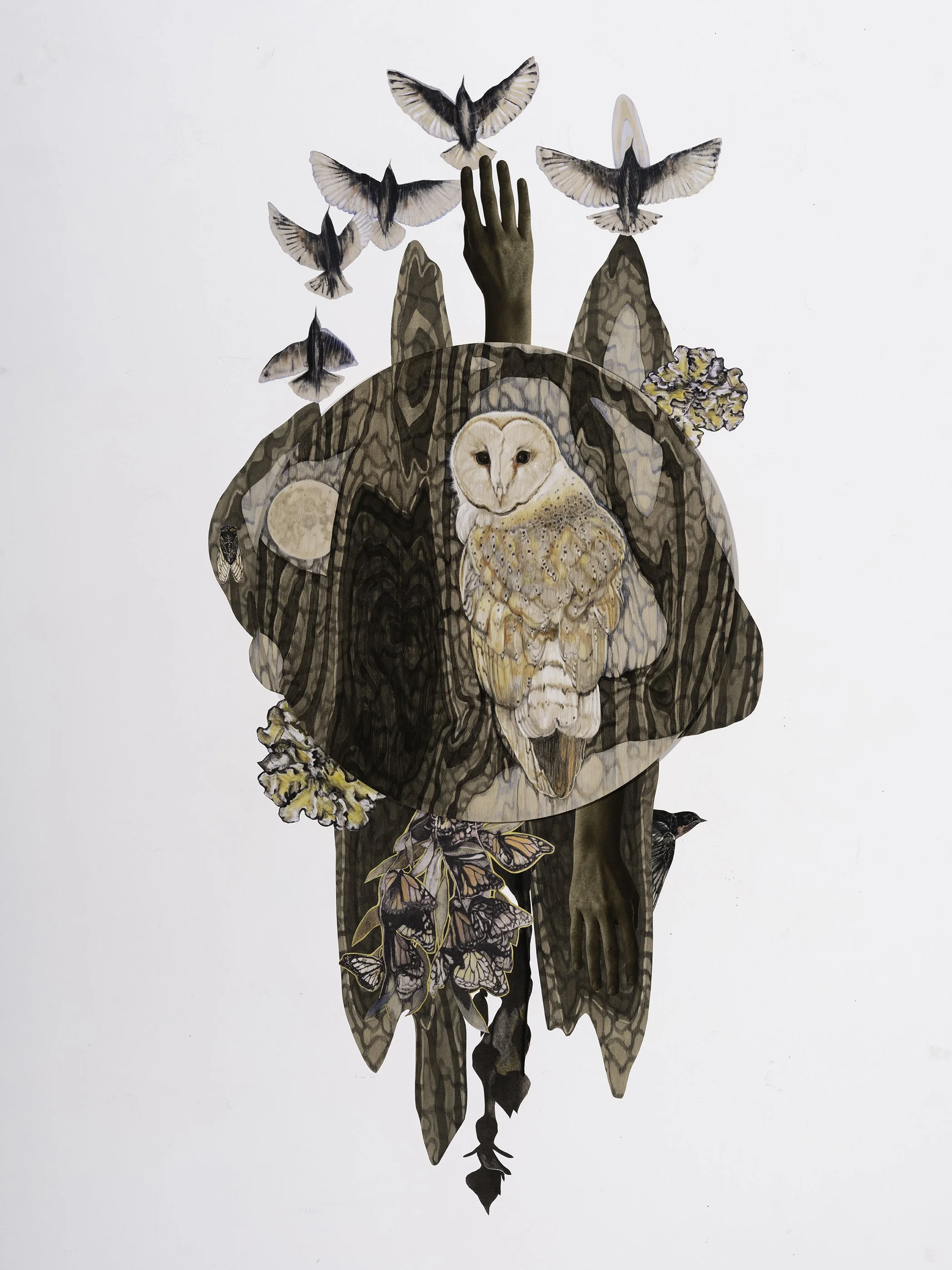 Night Vision, Mixed Media Drawing on Panel with surrounding Wall Decals, 30in x 56in 