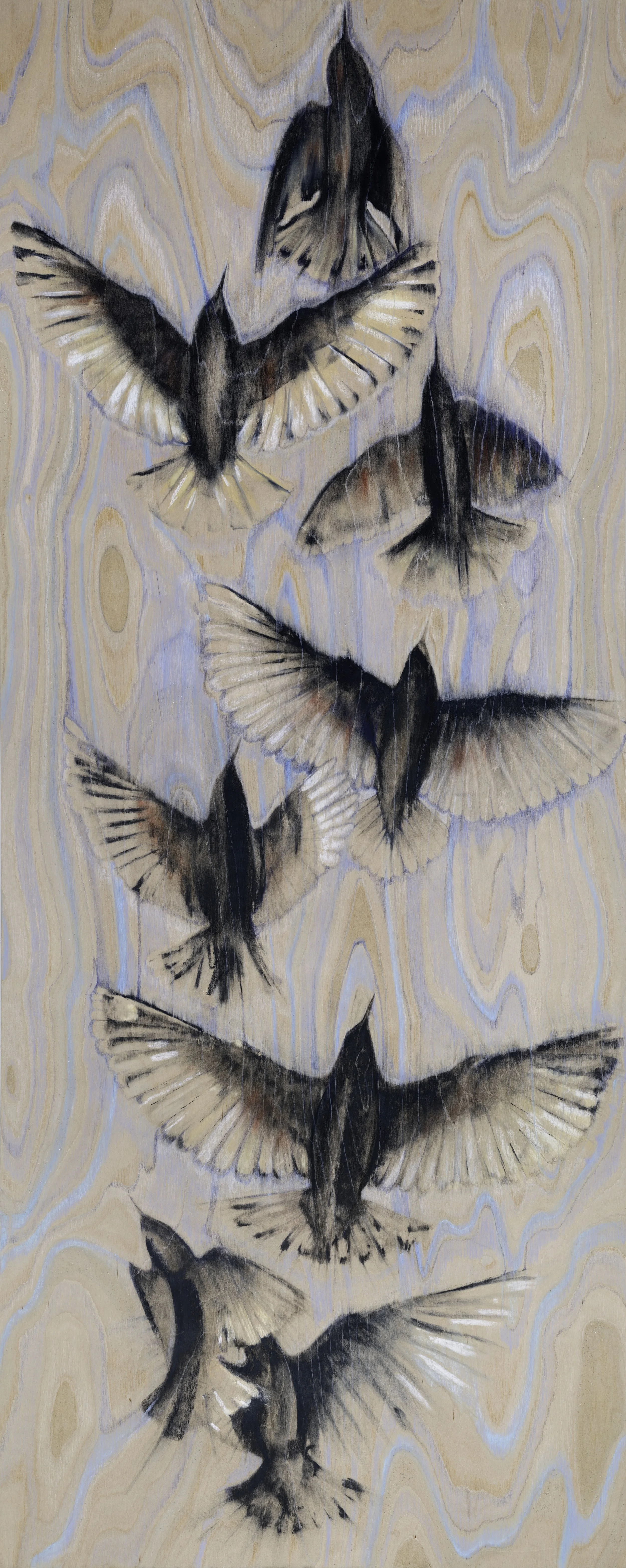 Passing Overhead, Mixed Media Drawing, 24in x 60in