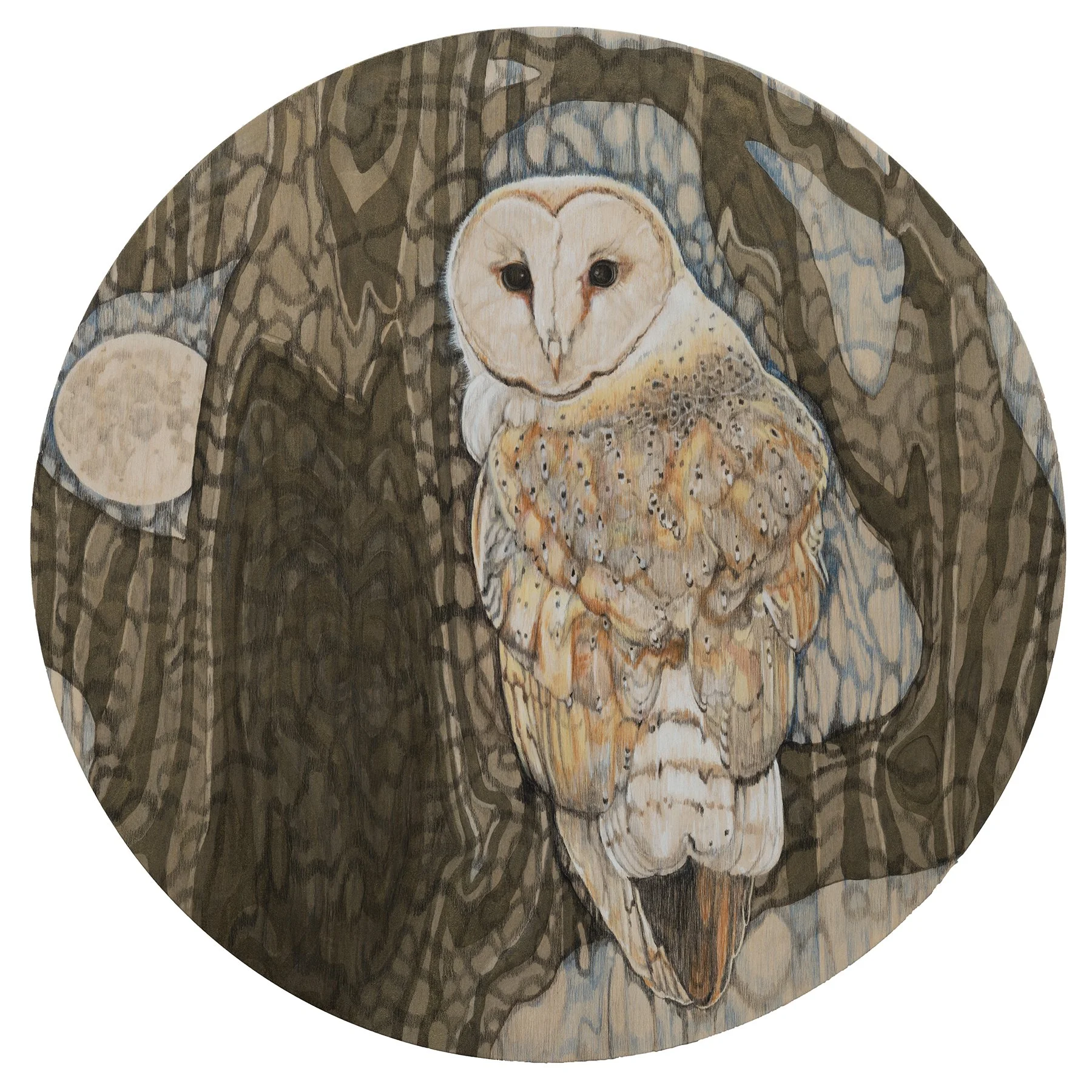 Barn Owl, Mixed Media Drawing on Panel, 20in diameter