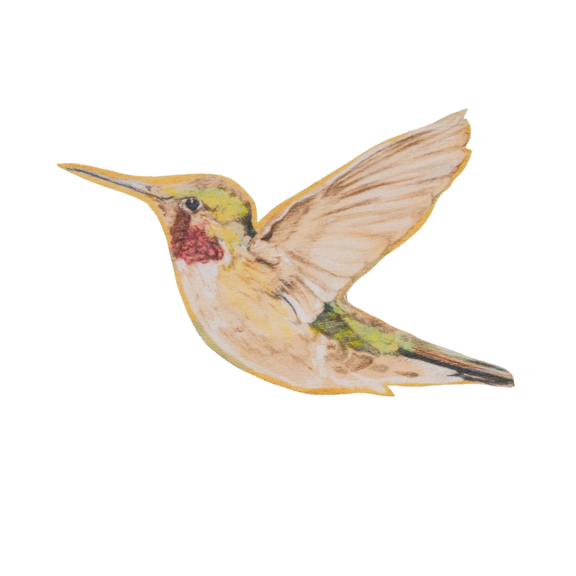 Anna'sHummingbird_website.jpg (Copy)