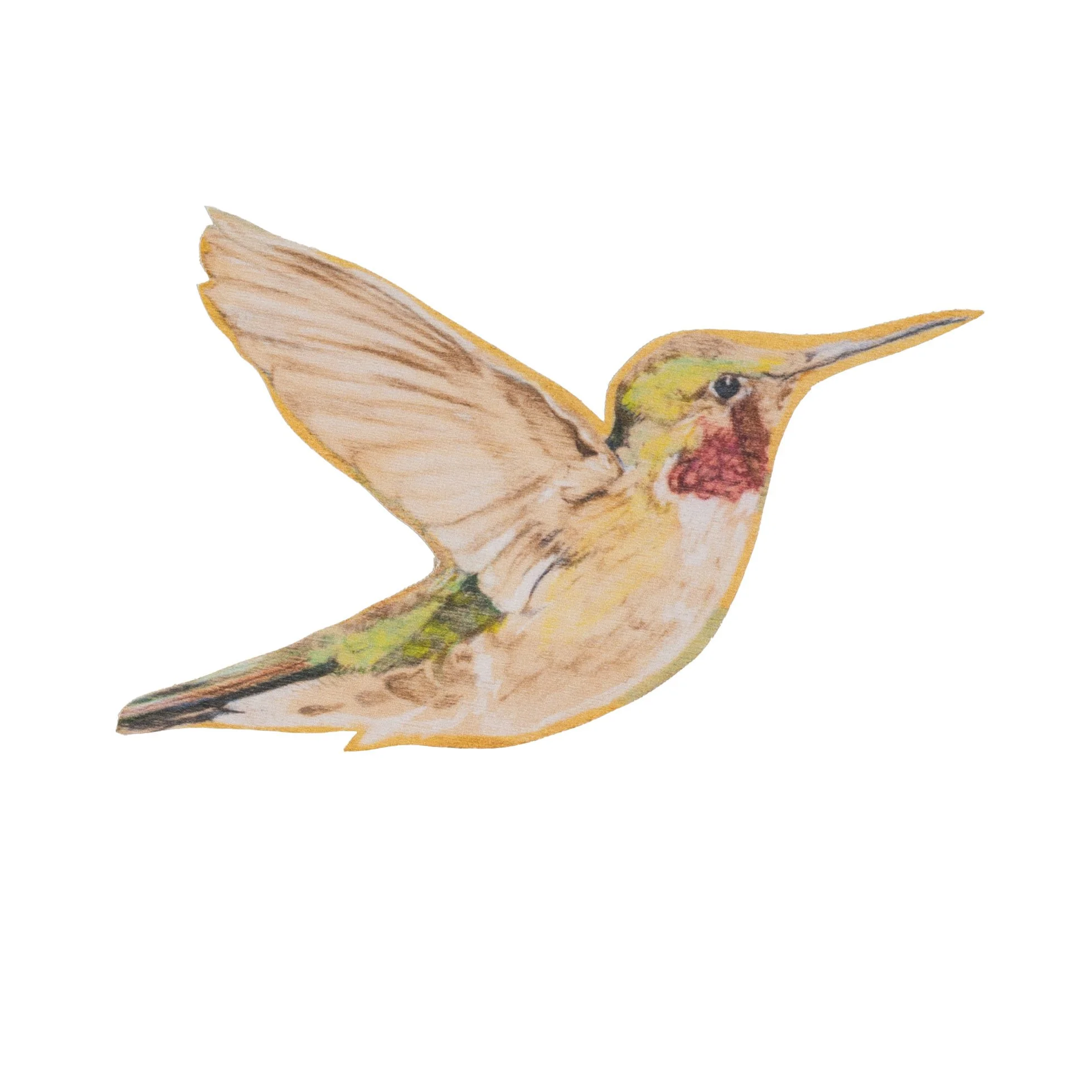 Anna'sHummingbird_facingeast_website copy.jpg (Copy)