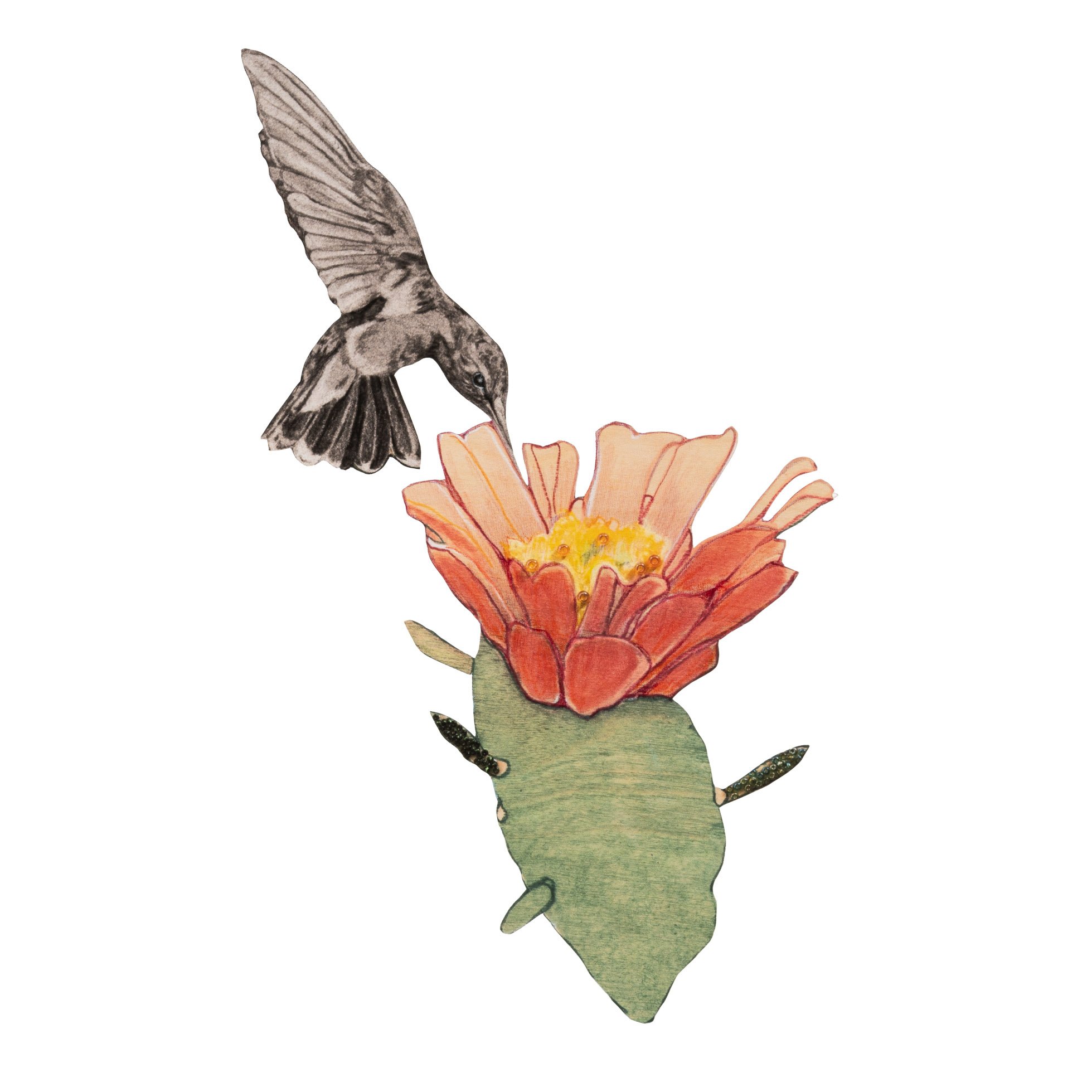 HummingbirdwithCactusFlower_website.jpg