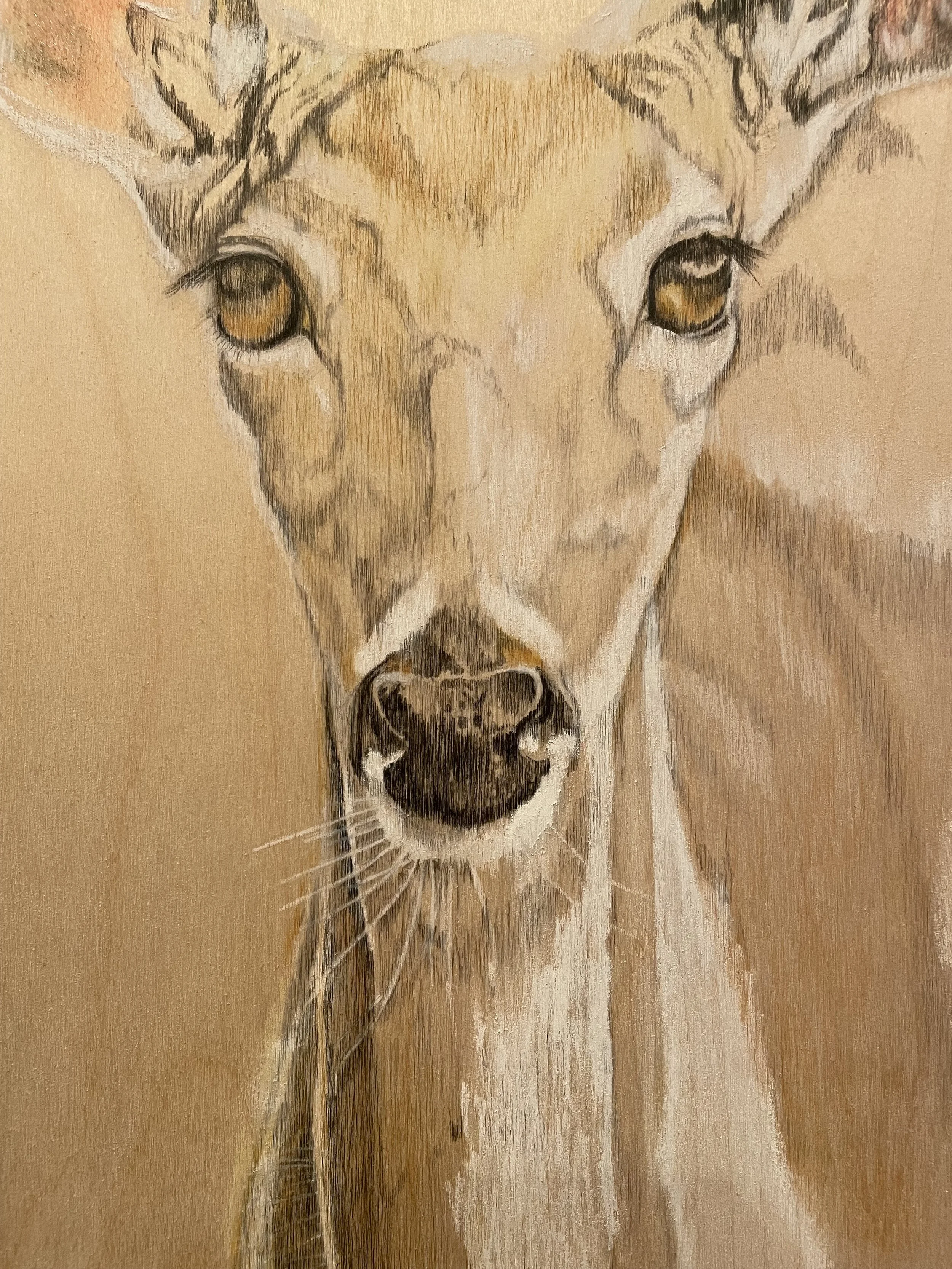 Close-up of a deer's face, with golden eyes and detailed fur textures in shades of beige, brown, and white.