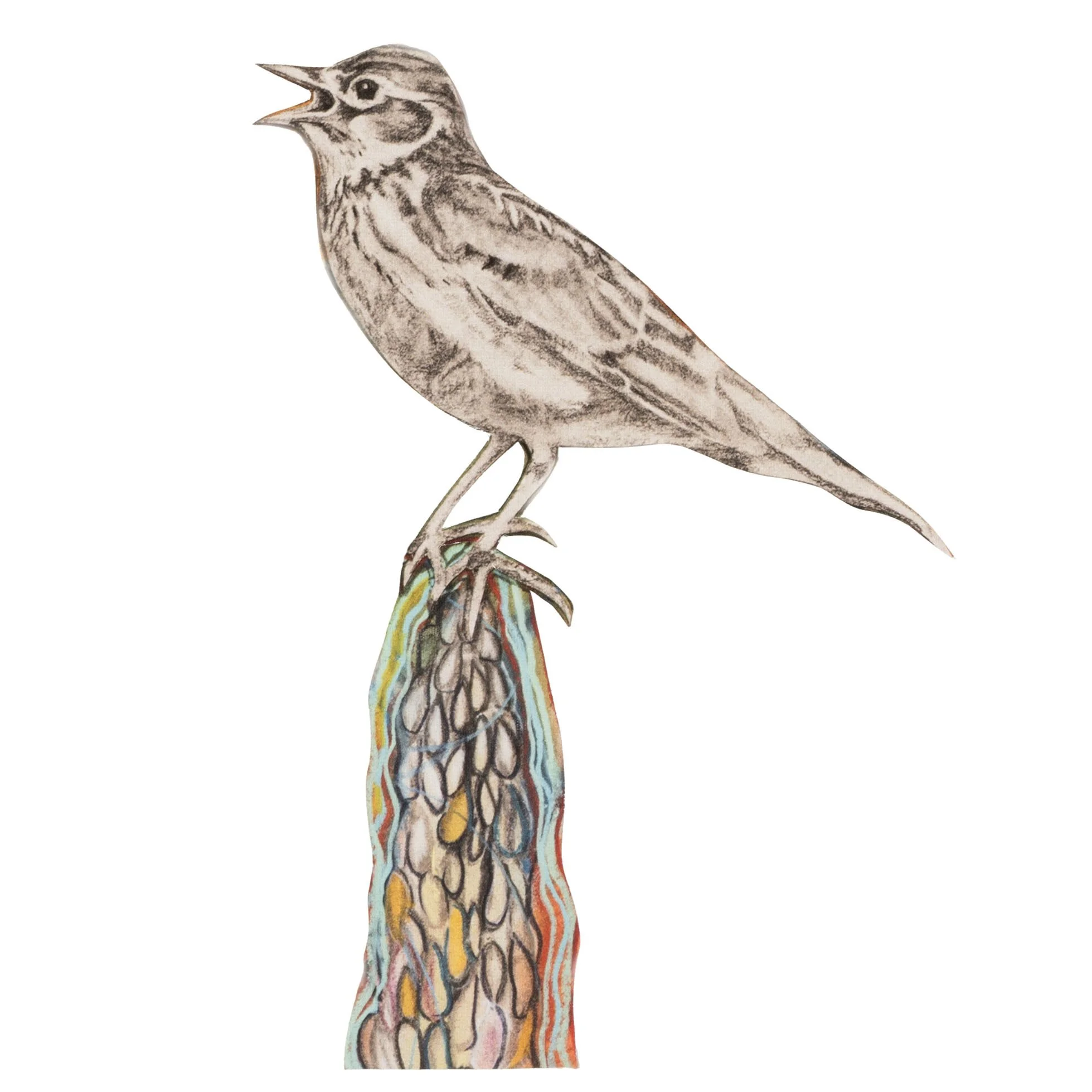 SparrowSinging_facingwest_website.jpg