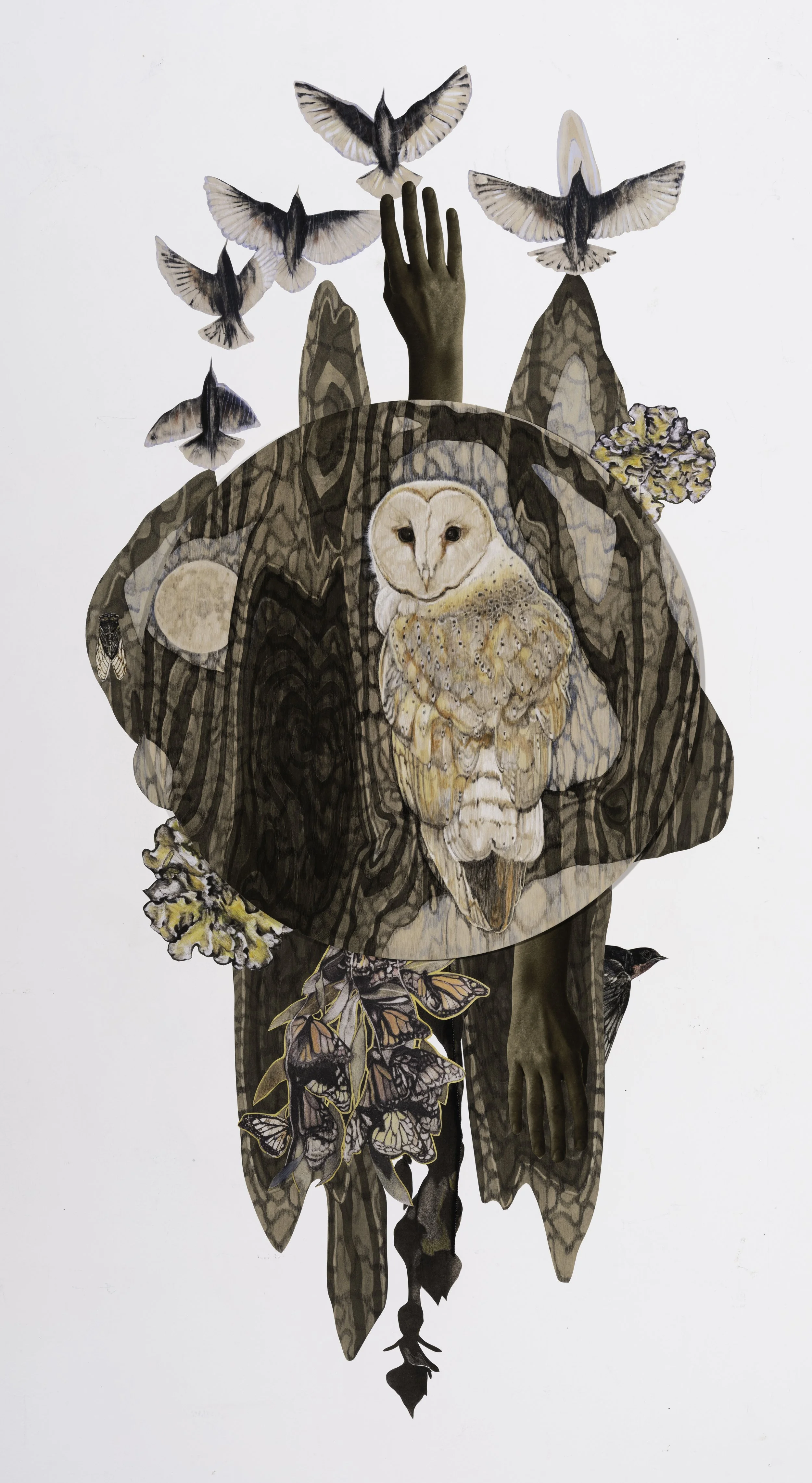 Night Vision, Mixed Media Drawing on Panel with surrounding Wall Decals, 30in x 56in