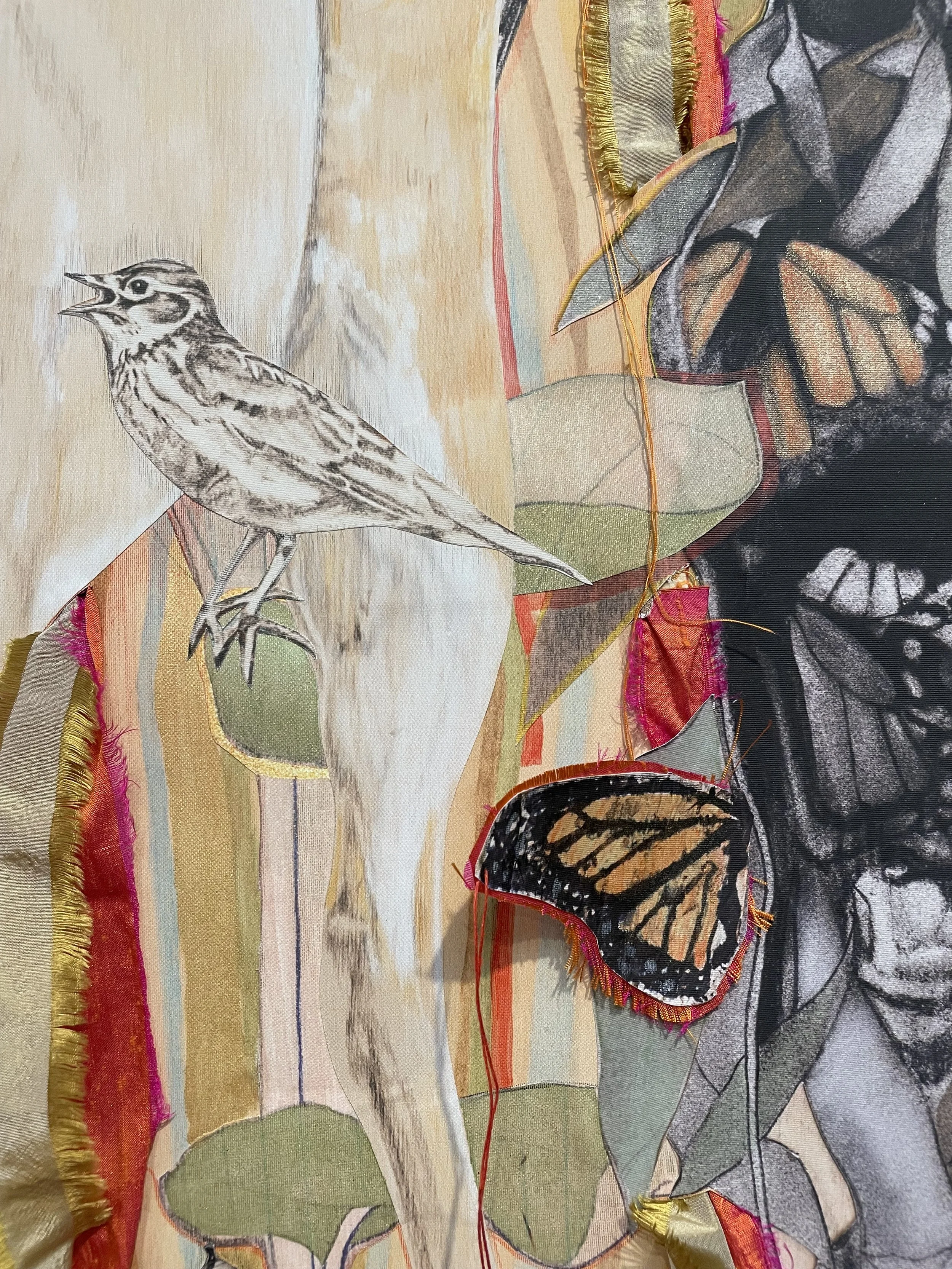 Close-up detail of Crowned Sparrow Monarch butterflies.