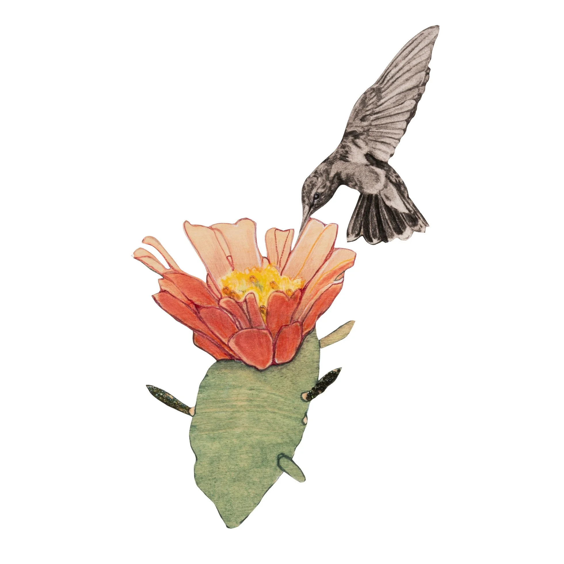 HummingbirdwithCactusFlower_facingwest_website.jpg