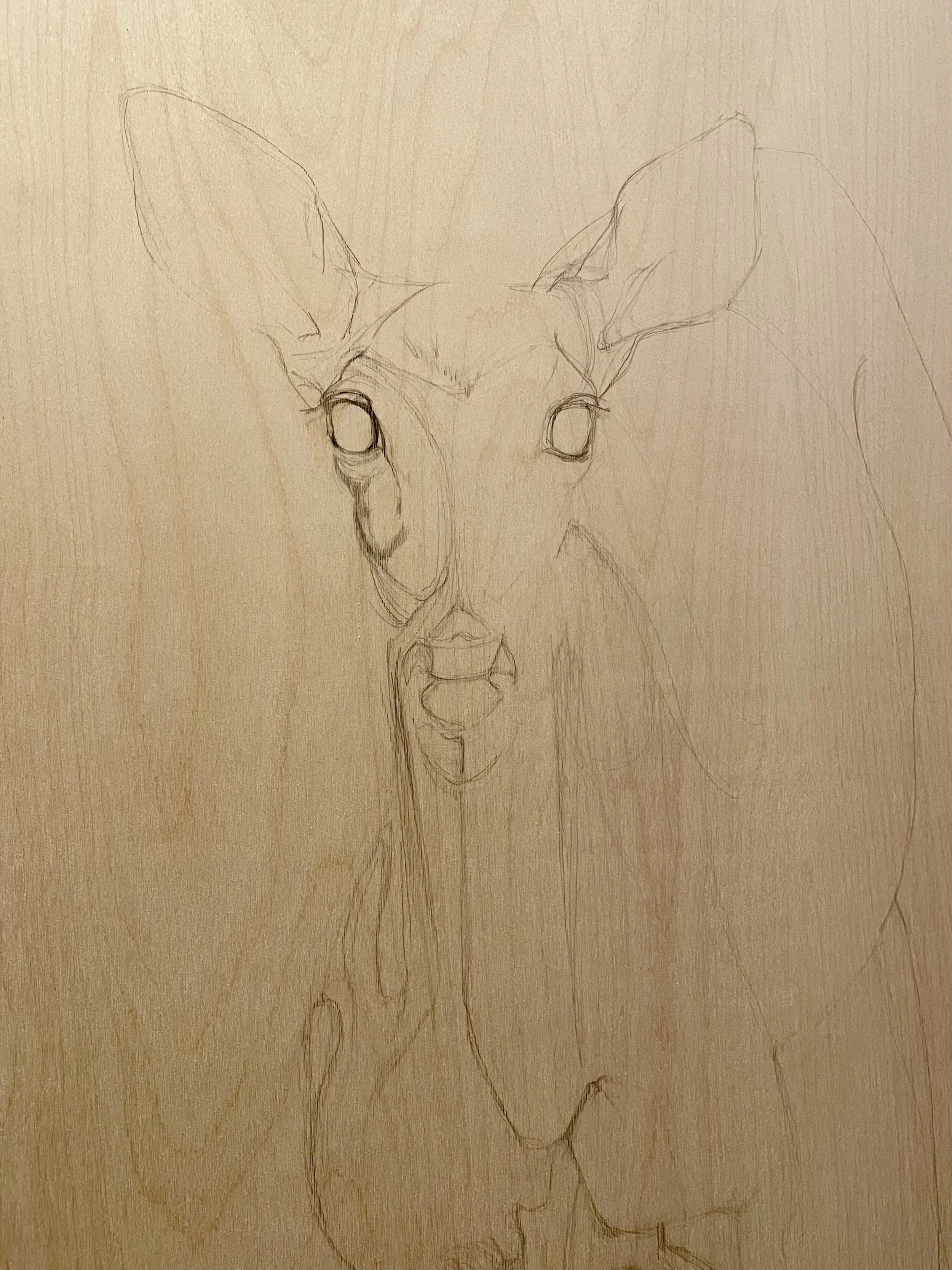 A sketch of a deer with large antlers on a light-colored background.
