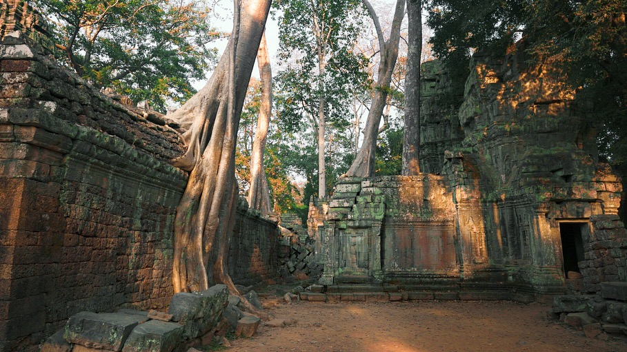 Wat Ta Prohm