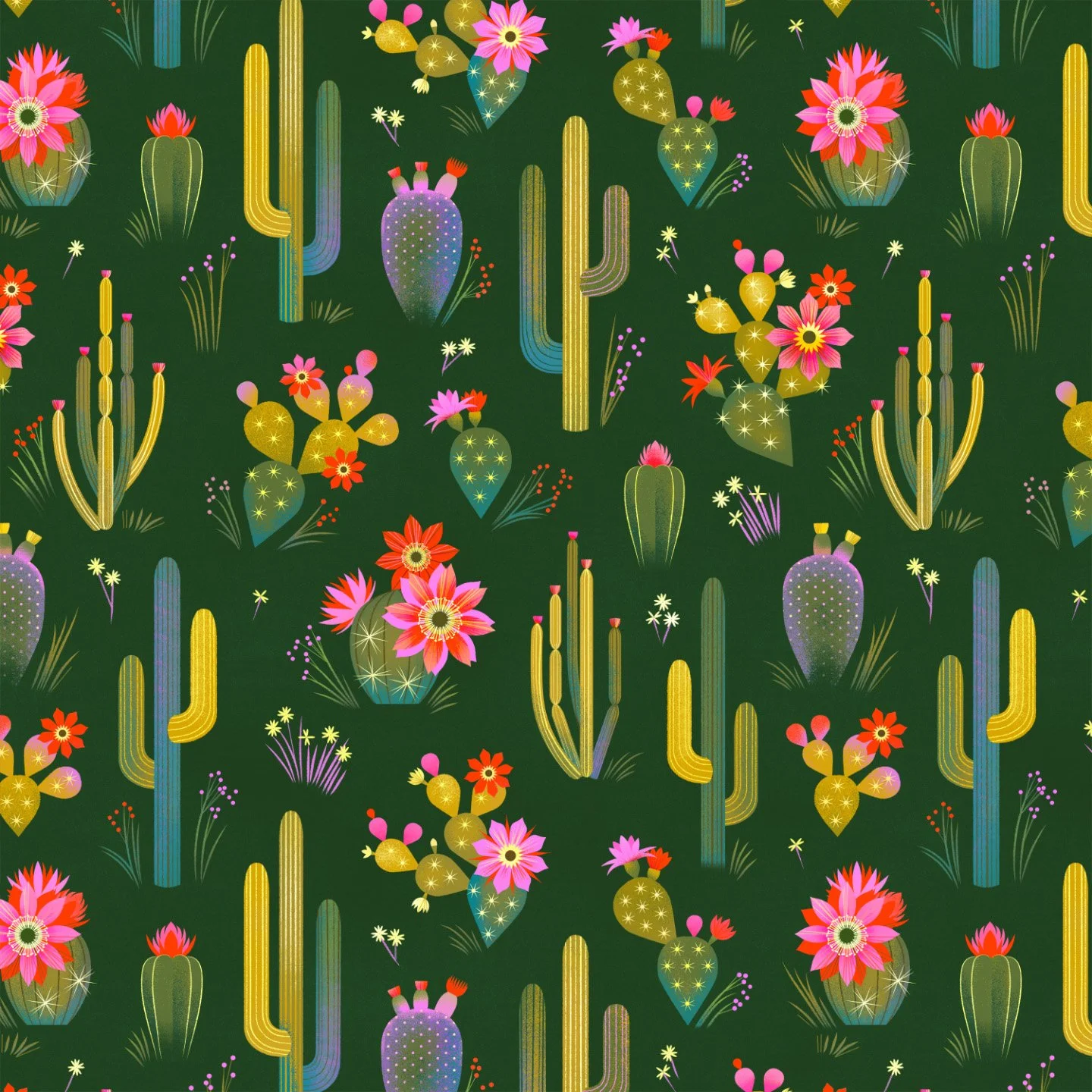 Cayce-cactus.jpg